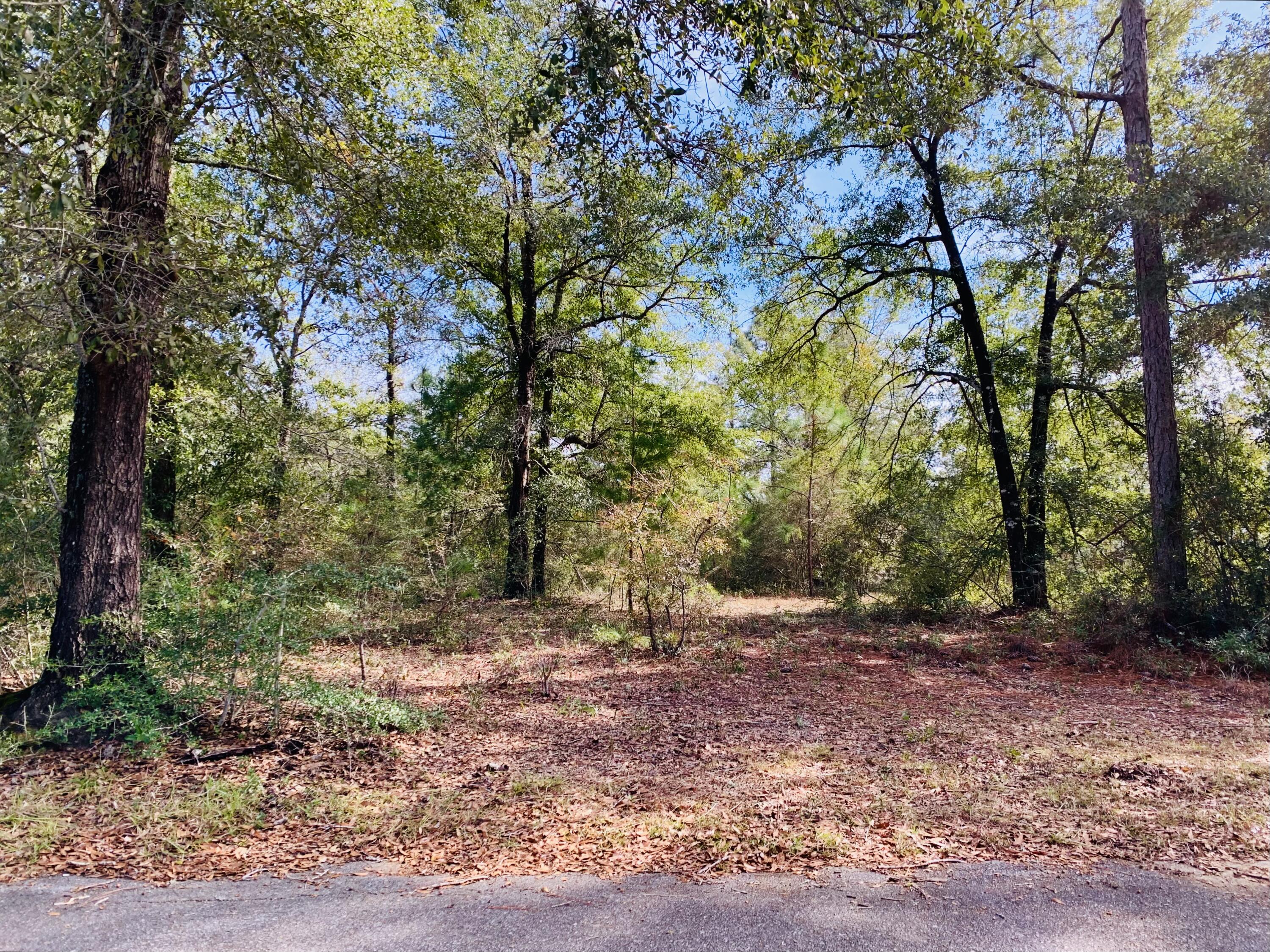 PLEASANT RIDGE ESTATES S/D - Land