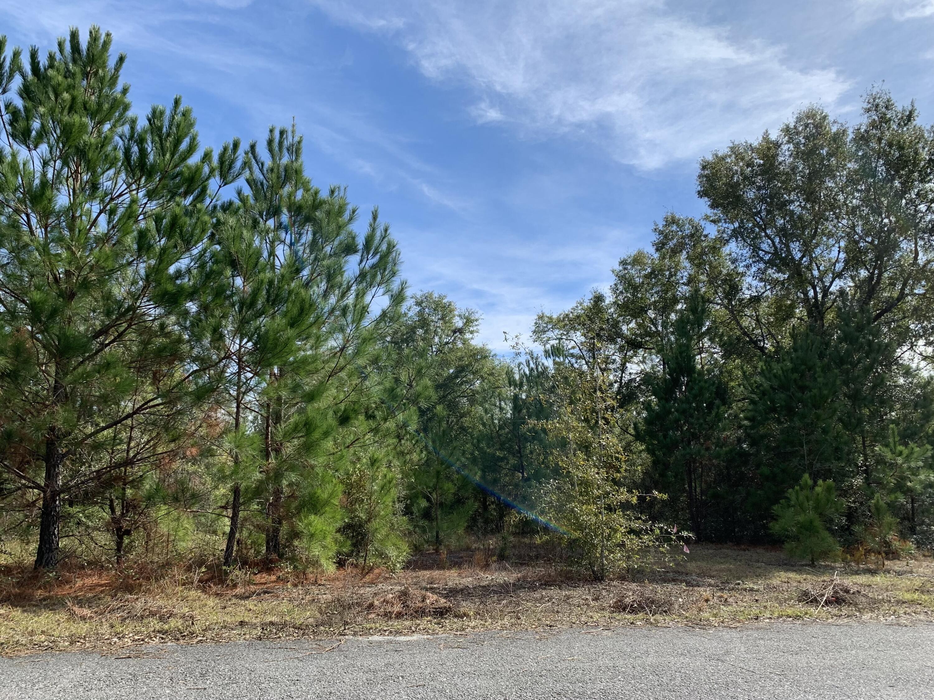 PLEASANT RIDGE ESTATES S/D - Land