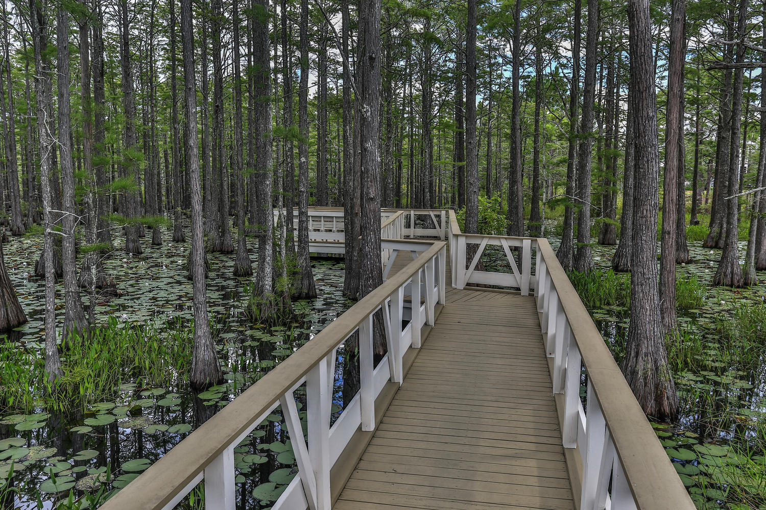 CYPRESS DUNES - Land