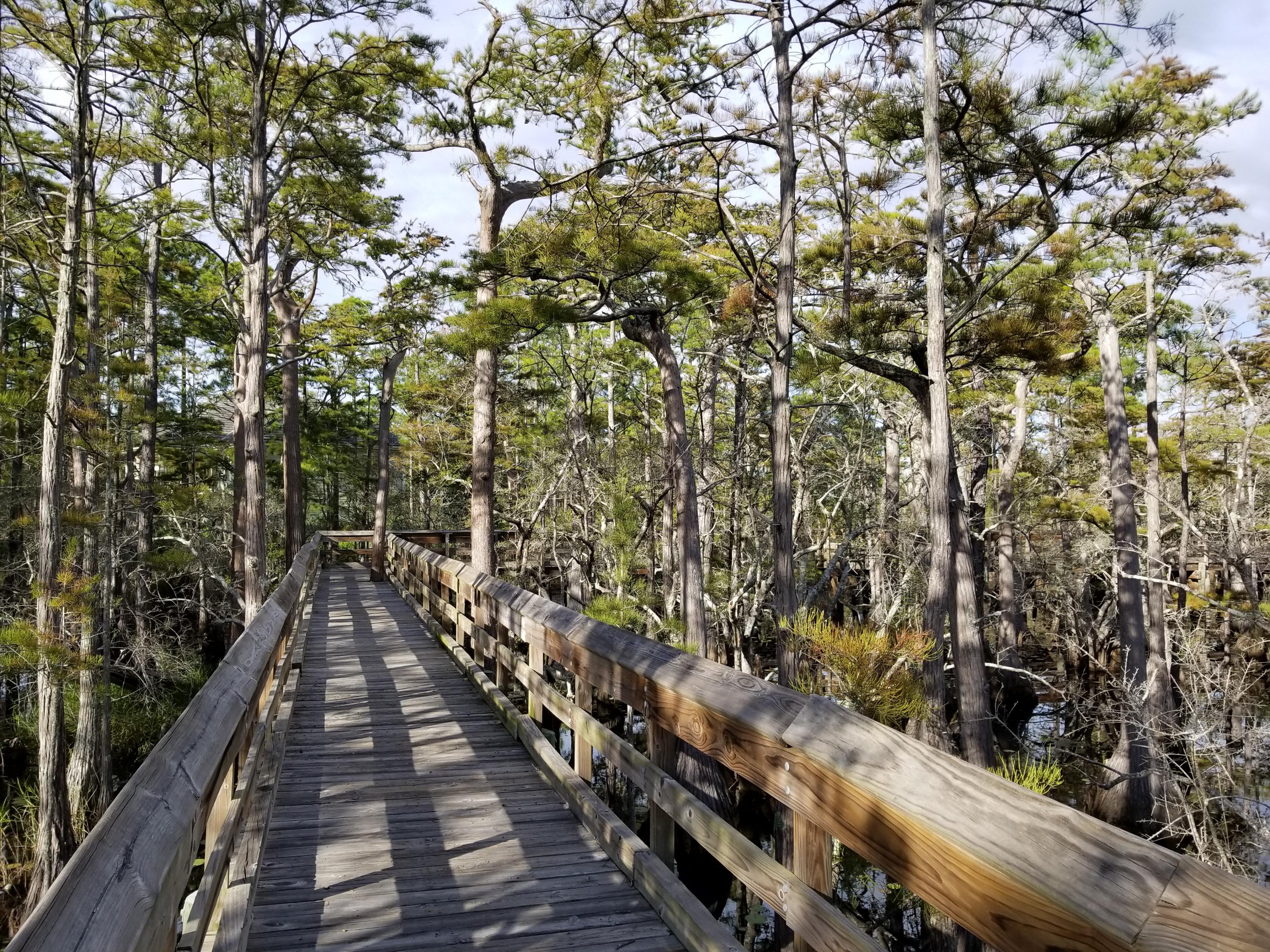 CYPRESS DUNES - Land
