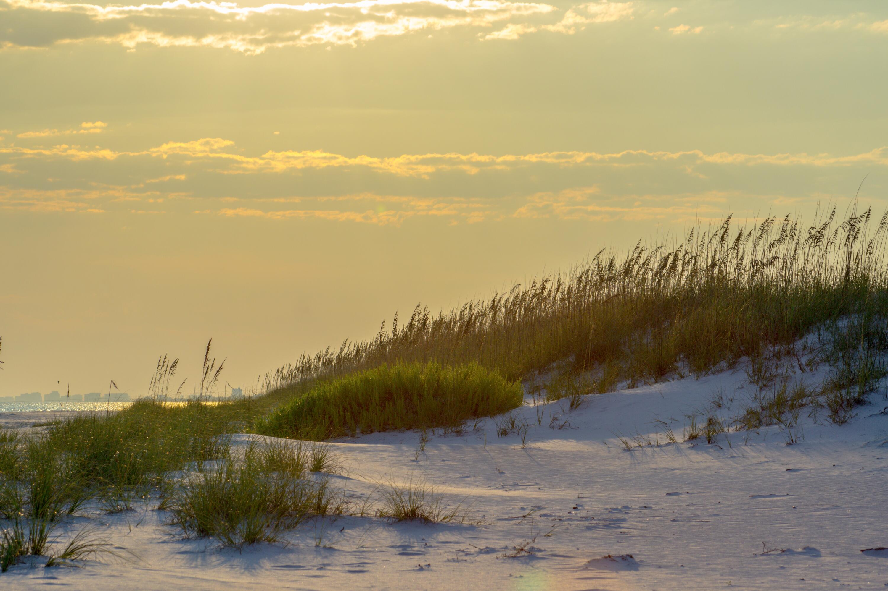 BEACH HIGHLAND 1ST ADD - Residential