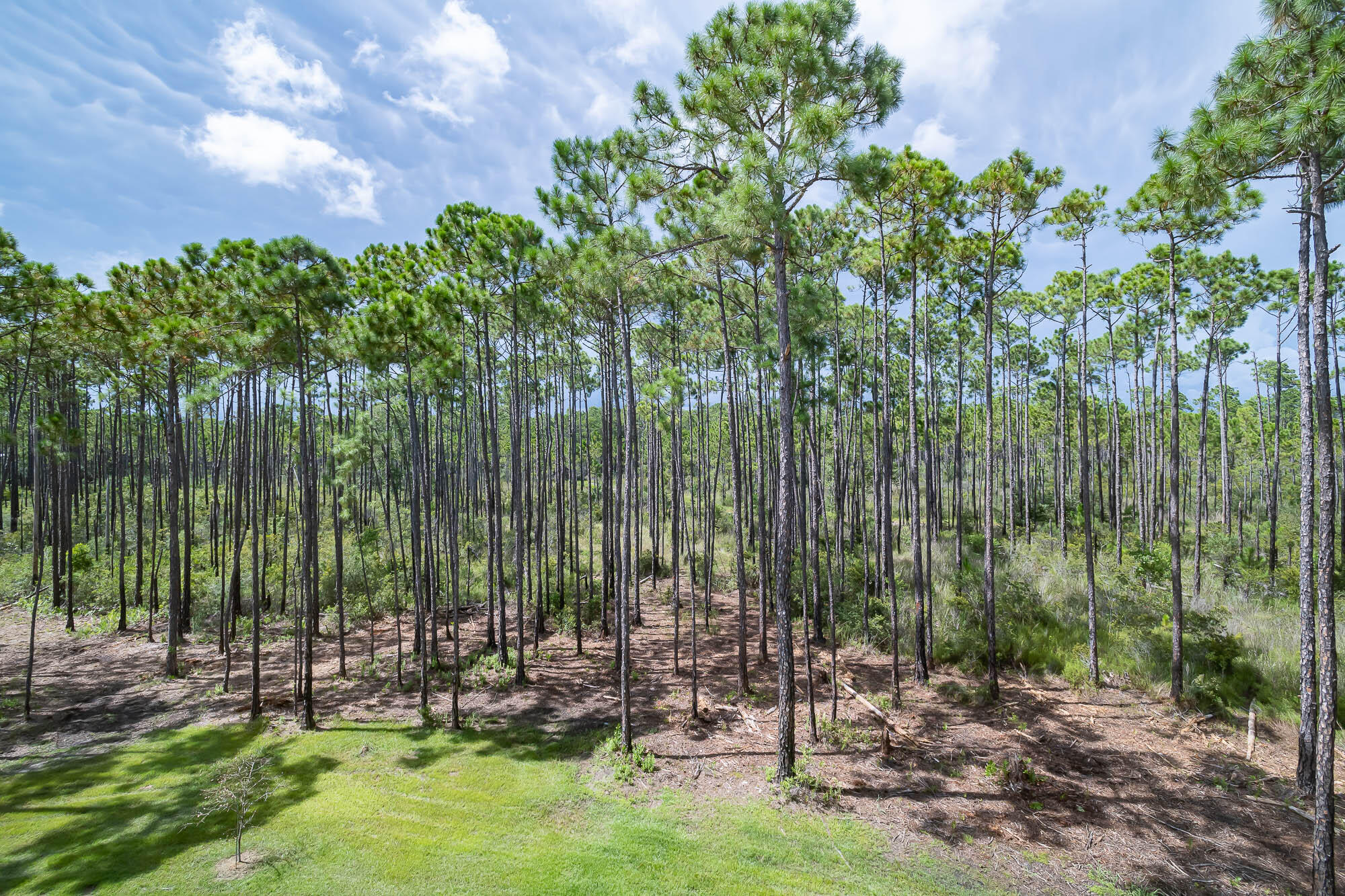 SANTA ROSA PLANTATION - Residential