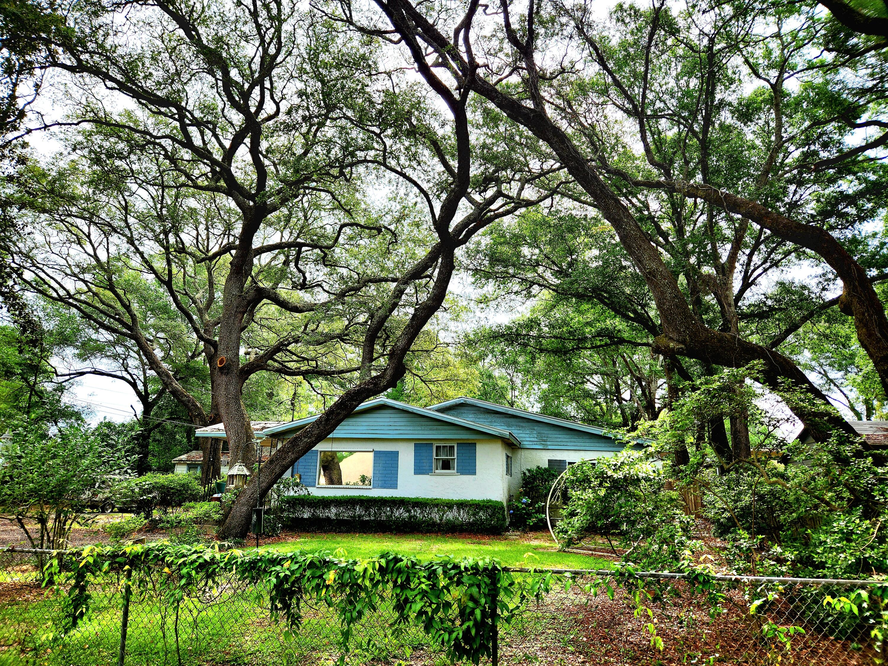 Florida Cottage in the heart of Niceville. Property can be subdivided into 3 lots according to Niceville planning and zoning. Current garage used to be a second house. This property has huge investment potential. Property has the most beautiful Oak trees,  well over 100 years old. The roof is approximately 6 years old and the electric has been updated, the exterior unit to the HVAC shows manufacture date as 2016.  There are several outbuilding besides the garage and also an underground shelter.
Come check out all the possibilities this property has to offer!