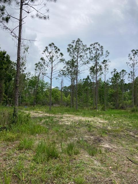SANTA ROSA PLANTATION - Land