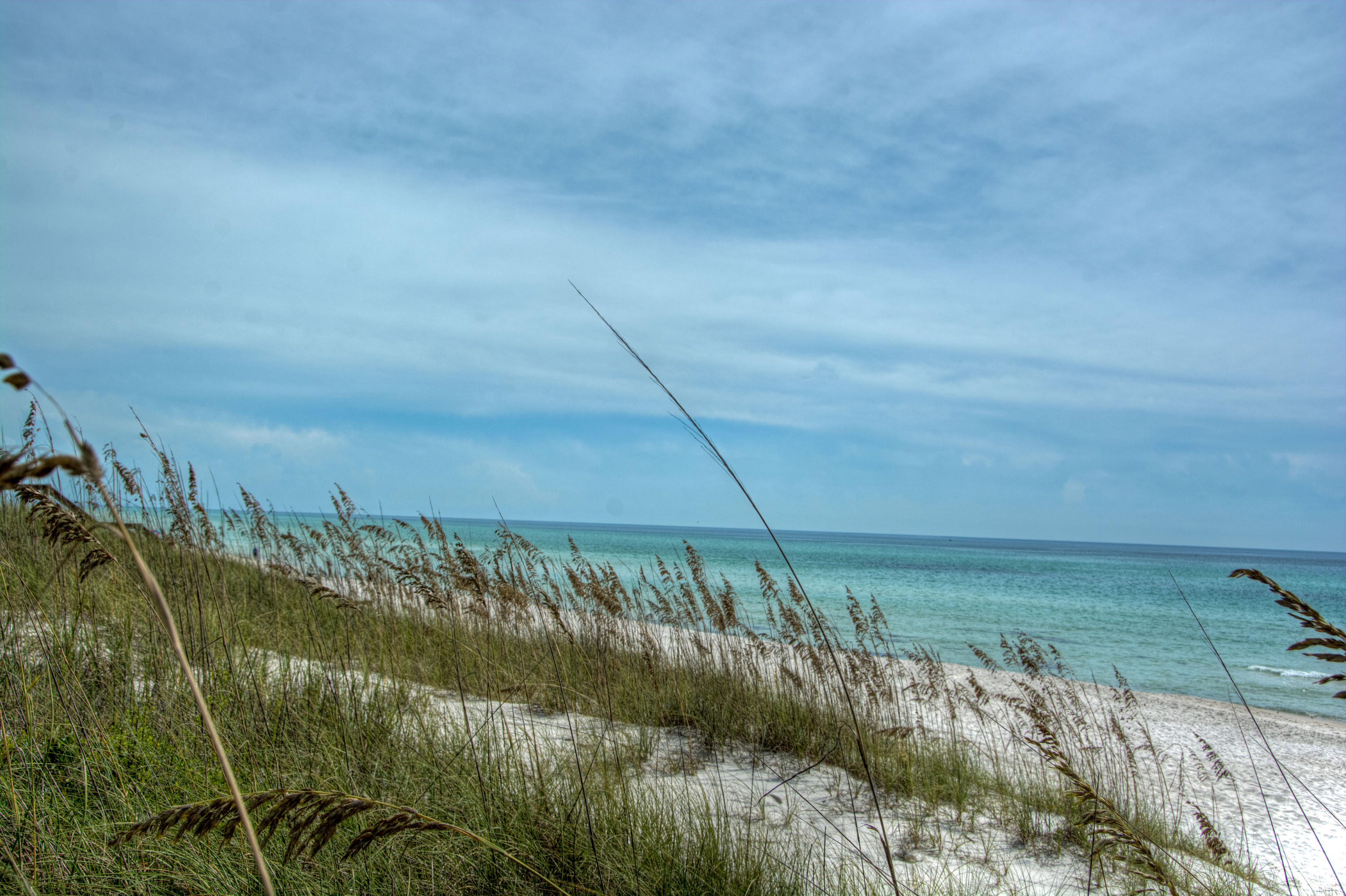 Heron at Inlet Beach - Residential