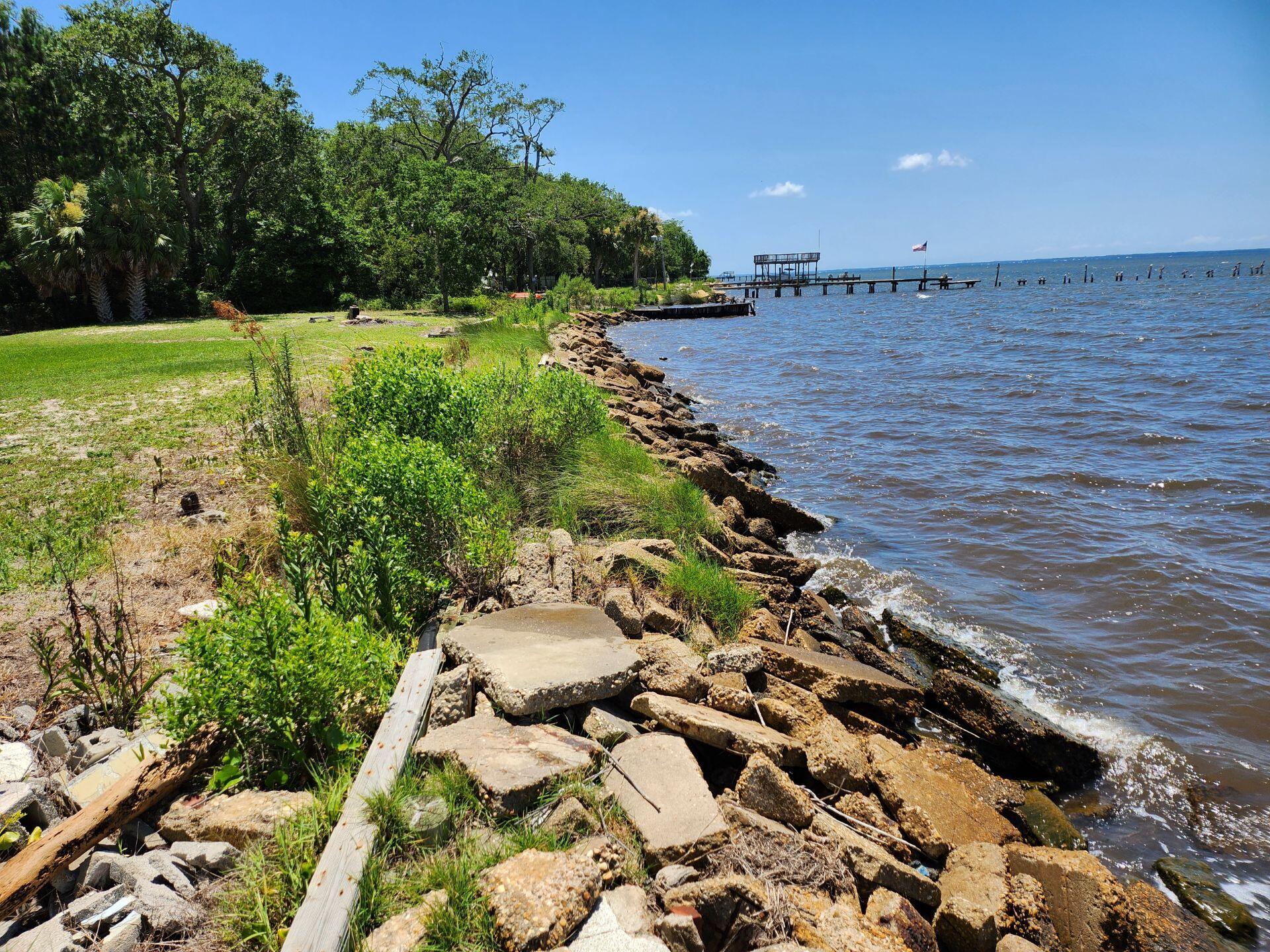 Basin Bayou - Land