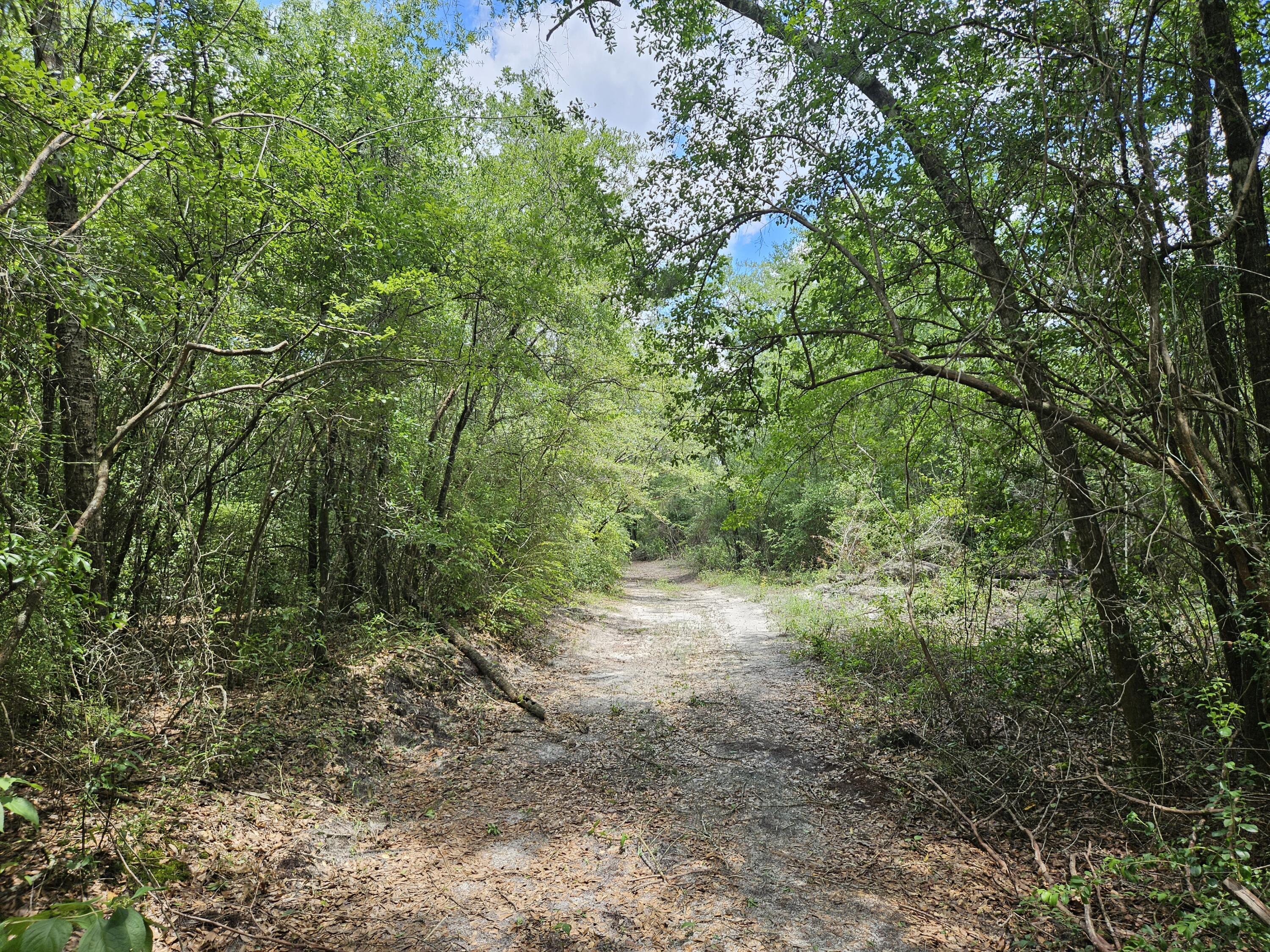 Private homesite or campsite close to the Yellow River in Holt.  Power pole is in place and a small area cleared for your cabin or RV.  Beautiful wooded property only 150 yards from paved Yellow River - Log Lake Rd.  There is a small shed on the property that is given no value but will remain.  Make your appointment today to see this little slice of paradise that is just shy of 3 acres in Holt, Florida.