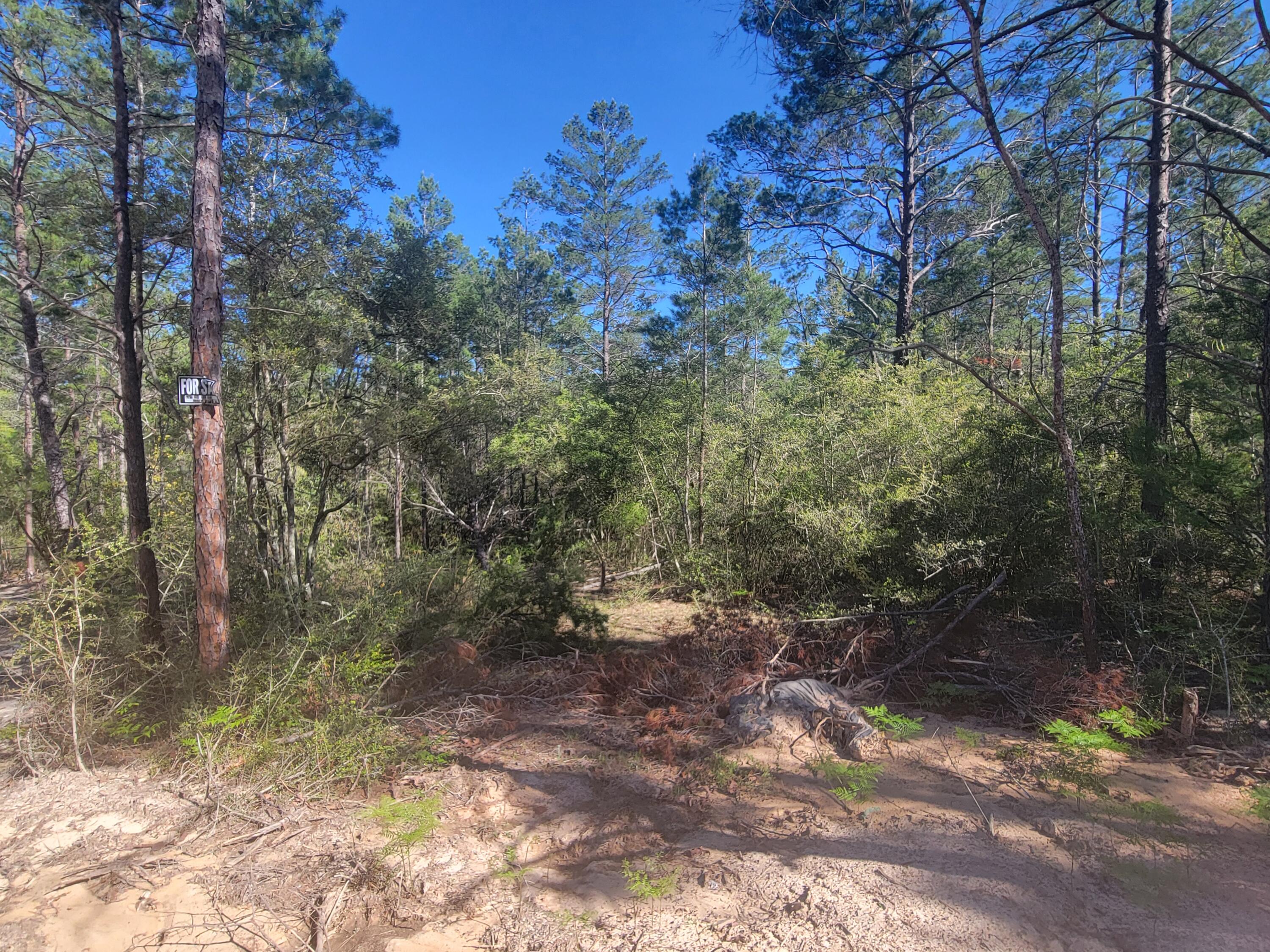 This beautiful wooded lot is at the end of Snapdragon St at the cul-de-sac. Beaver Creek is  flowing creek along the back property line according to the Seller, it is surely on the Plat, look under 'Documents'. Buyer to verify and survey needed. There is power at the end of the Snapdragon St.  Buyer to verify availability with the Mossy Head Water Department to see if and the cost to water tap installed on the property.