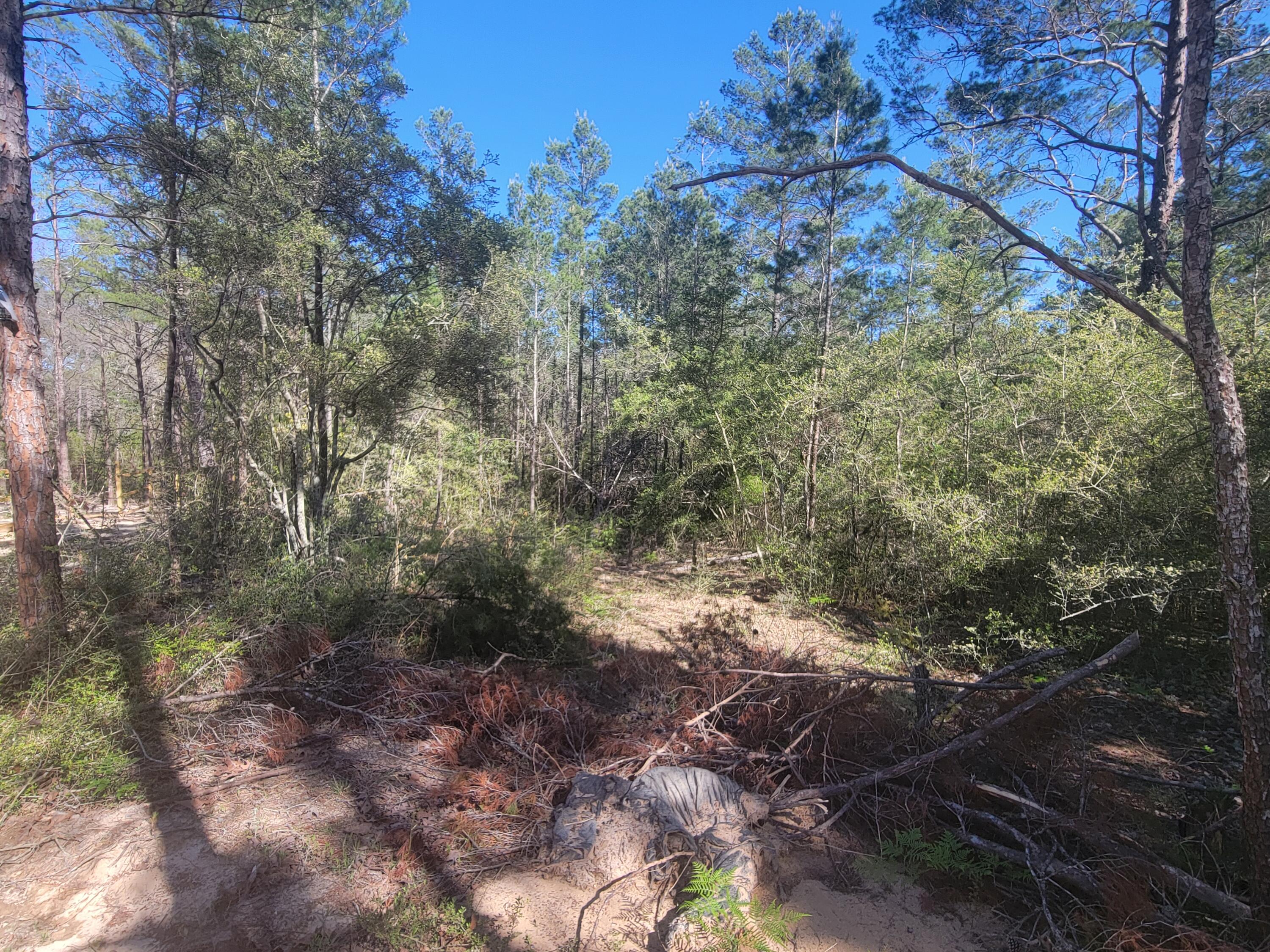 Oak Wood Hills Unit 3 - Land