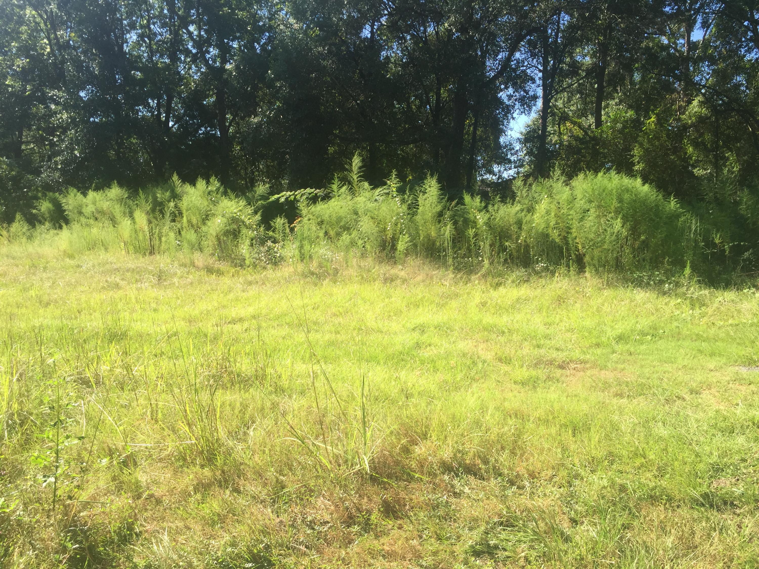MORRIS ADDN TO CRESTVIEW - Land