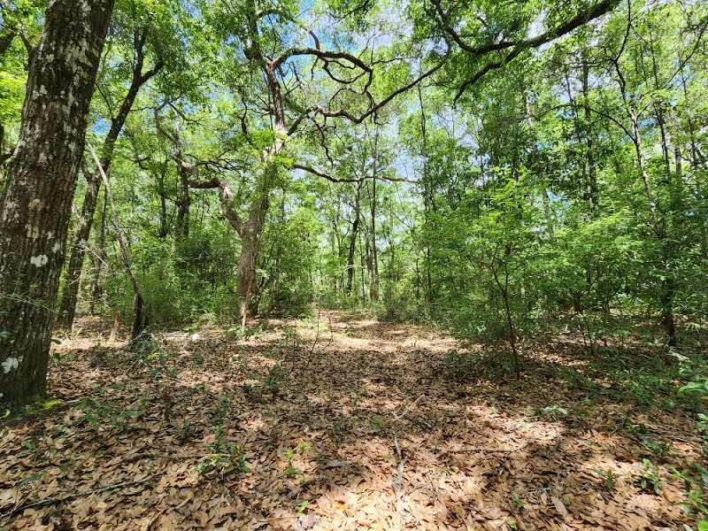 1.39 acres - Hidden gem of a property located in the heart of Freeport FL with a lovely creek winding along the property's edge. 

This beautifully wooded lot will make a wonderful oasis located approx. 5-7 min from Choctawhatchee bay where you can boat and fish until your hearts delight! Convenient boat launching at Grady Brown Park featuring a beach area, picnic tables and playground.  

One can also take the Choctawhatchee Bay and commute to Four Mile Creek, Black Creek and Hogstown Bayou for additional fishing and exploring.

Looking to be near the Spectacular beaches of the Emerald Gulf Coast?  This property puts you within 25-30 mins of many of the beach accesses. 

Property is centrally located for ease of commutes between Destin and Panama City Beach FL. Boundary Survey available
Wetlands Study showing the property is mostly high and dry with over 1 acre of uplands.  Great Buildable lot.  

City water available. Septic required.

City of Freeport does not allow RVs.  Mobile Homes are allowed.

**This is an RV stored on property that does not convey.