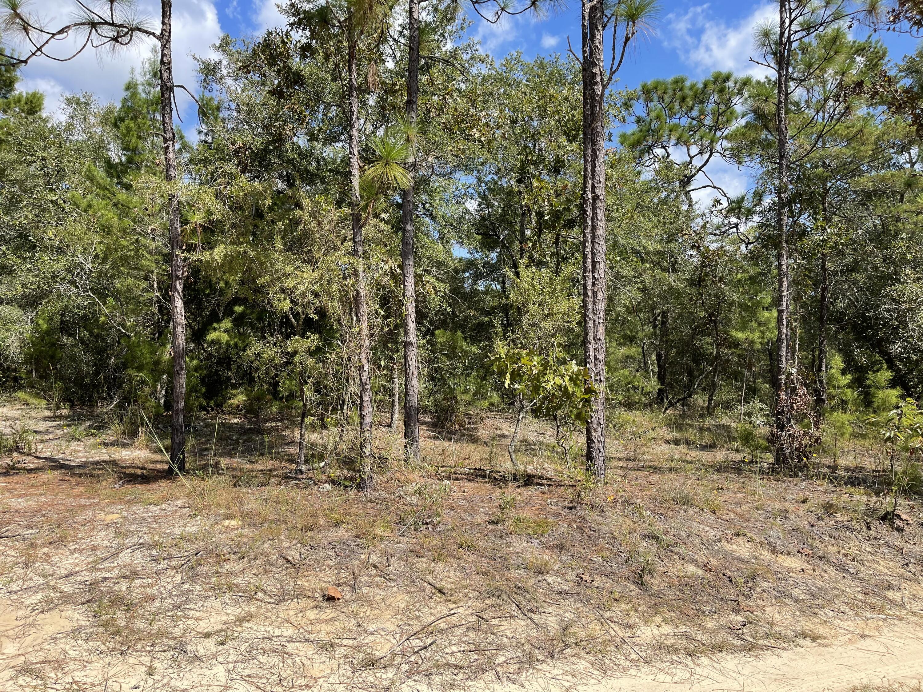 OAKWOOD HILLS UNIT 2 - Land
