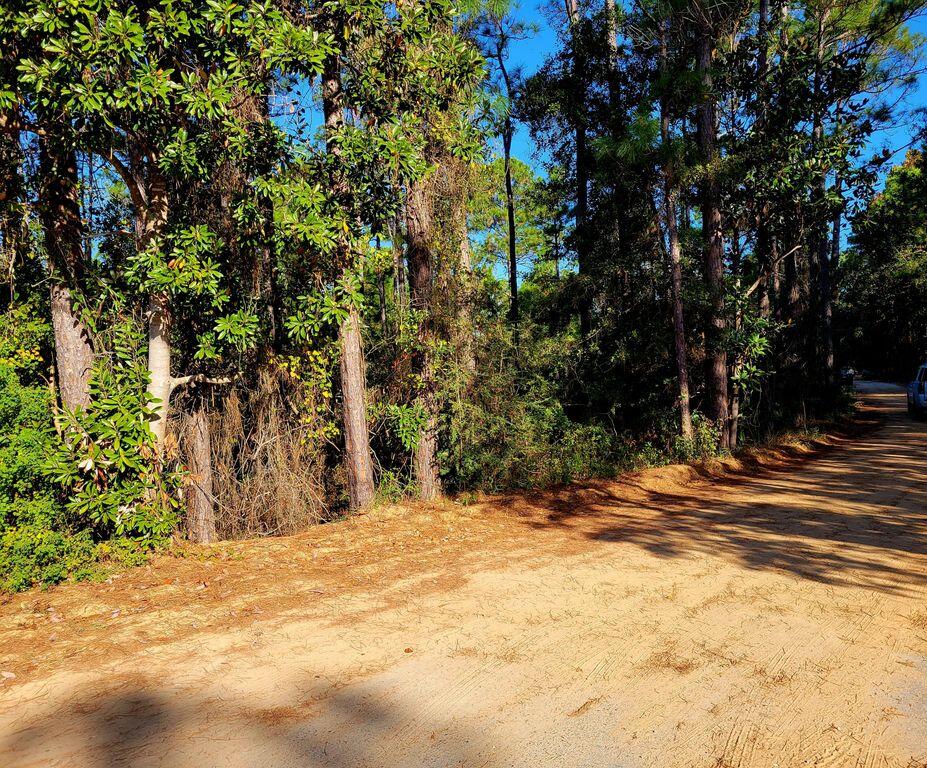 TOWN OF SANTA ROSA BEACH - Land