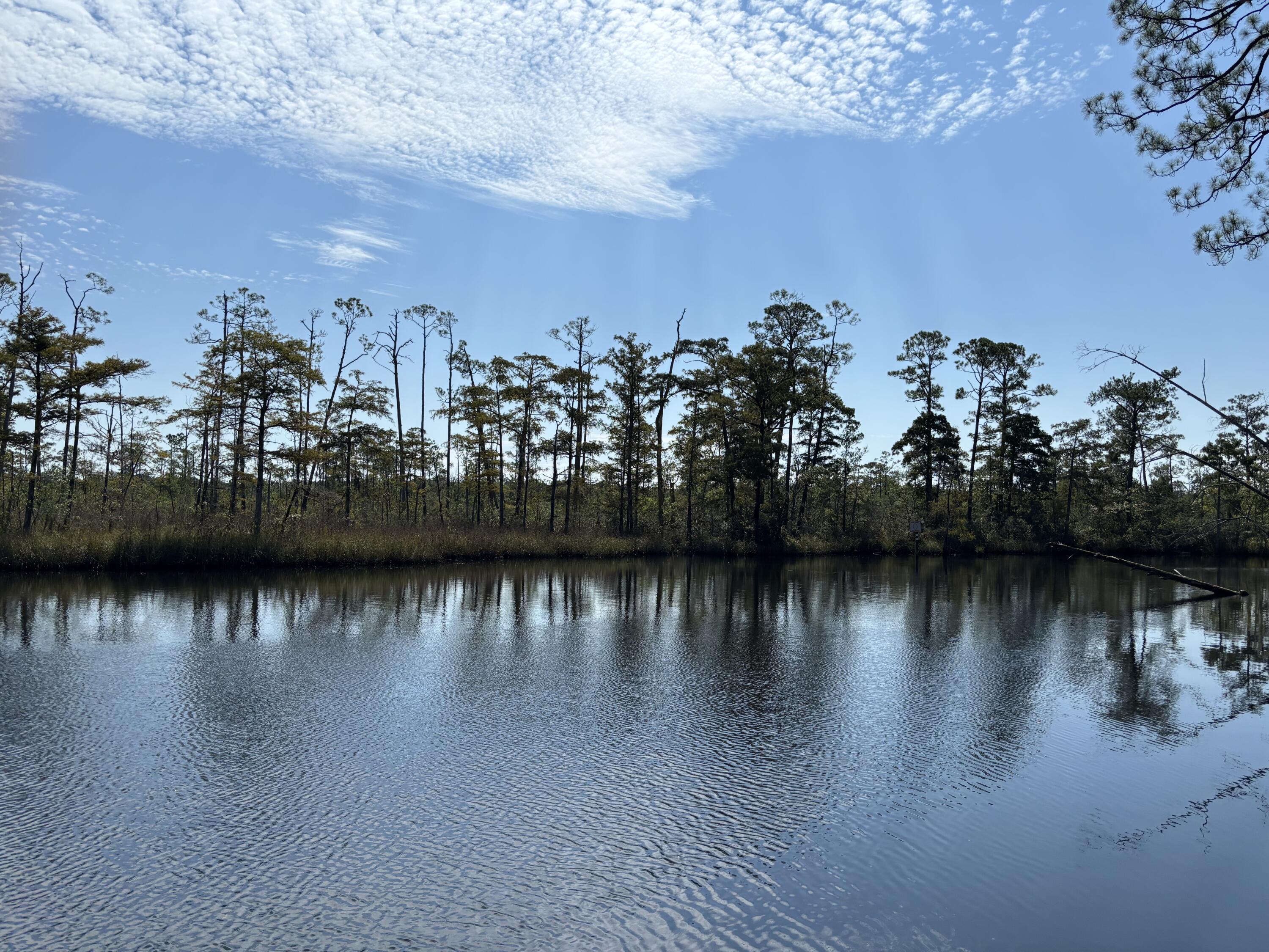 Outside enthusiasts Paradise- you can kayak from Portland Park Launch to your lot. The sky is the limit when your imagination is wild.