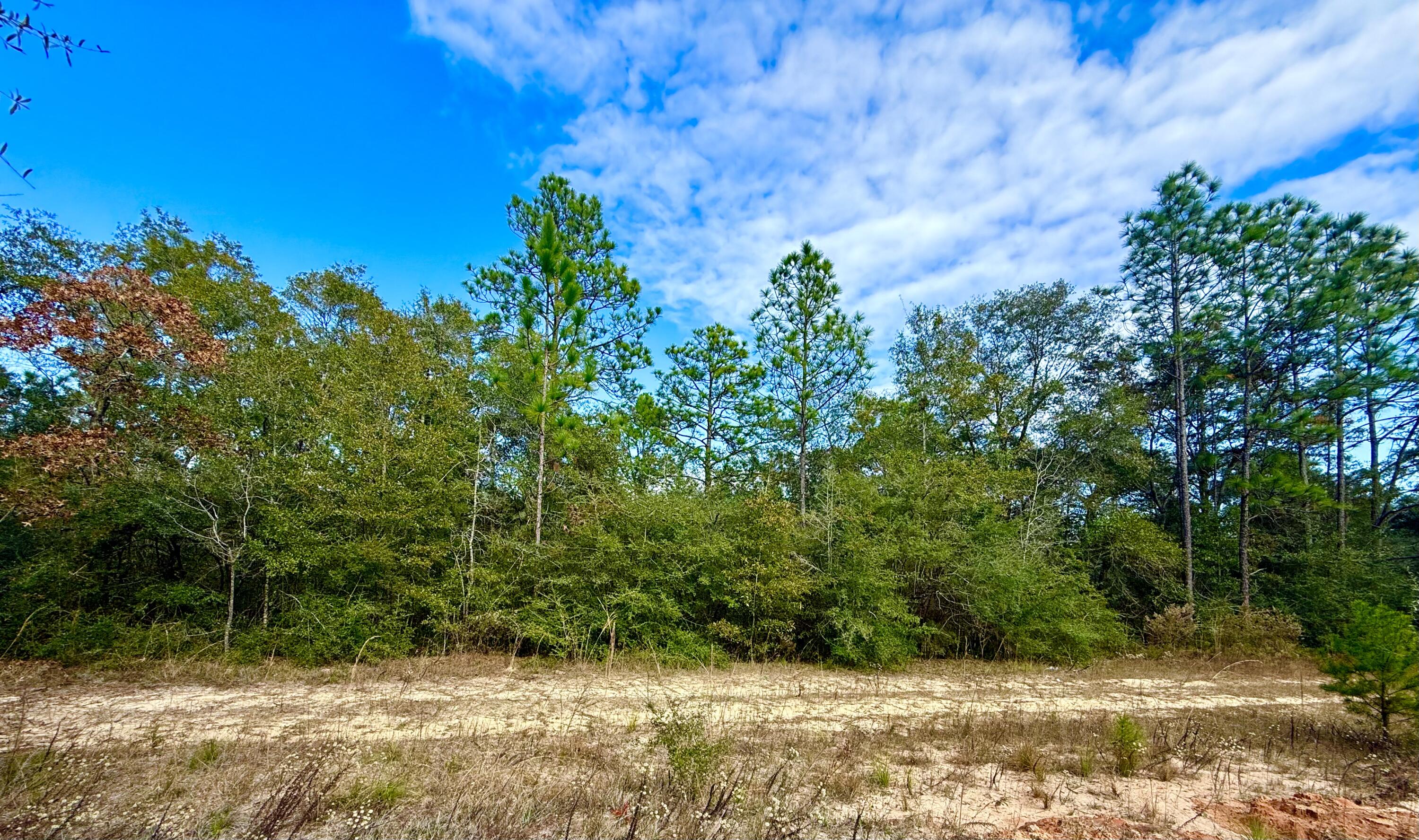 A surprising find just 5 miles from downtown DeFuniak Springs and located outside the city limits, this lot is ideal for your new build—whether you're envisioning a cozy cabin in the woods or a full-time residence. It offers the opportunity to create a peaceful retreat you wouldn't expect to find so close to town.  City water is available (tap fee unpaid), and a septic system would be required. This property is Flood zone X.

This is the kind of place where you can sit back, relax, and enjoy the serenity of a quiet, natural setting. The property offers peace of mind and ease of development in a serene yet highly accessible location, just minutes from shopping, dining, medical facilities, and schools.  Enjoy easy access to I-10, making it n excellent location for commuting in any direction, with most workplaces reachable within approximately 30-45 minutes. Juniper Lake, along with local public boat docks and a nearby park, is conveniently located about 2 miles away. Plus, you're approximately 35 miles from the beautiful turquoise water & white-sand beaches of Florida's famous Emerald Gulf Coast, including 30A and the majestic Crab Island.

Buyer needs to verify building codes, zoning regulations, wetlands and flood zones, etc with proper local authorities to ensure buyer will be able to utilize the property for intended use. Information contained within this listing is deemed to be accurate, but is not guaranteed.