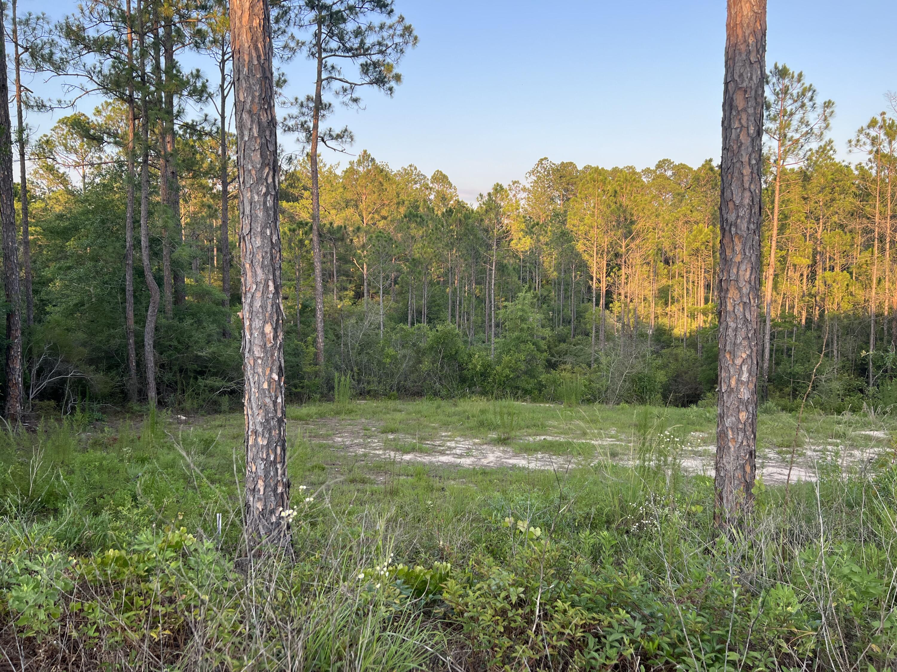 Bring your Floor plans today!!! Cleared Lot, Pad ready, Septic tank permit in hand!!! 
Auburn water and power available!
Located a short distance of schools, shopping and a short drive to your local beaches.