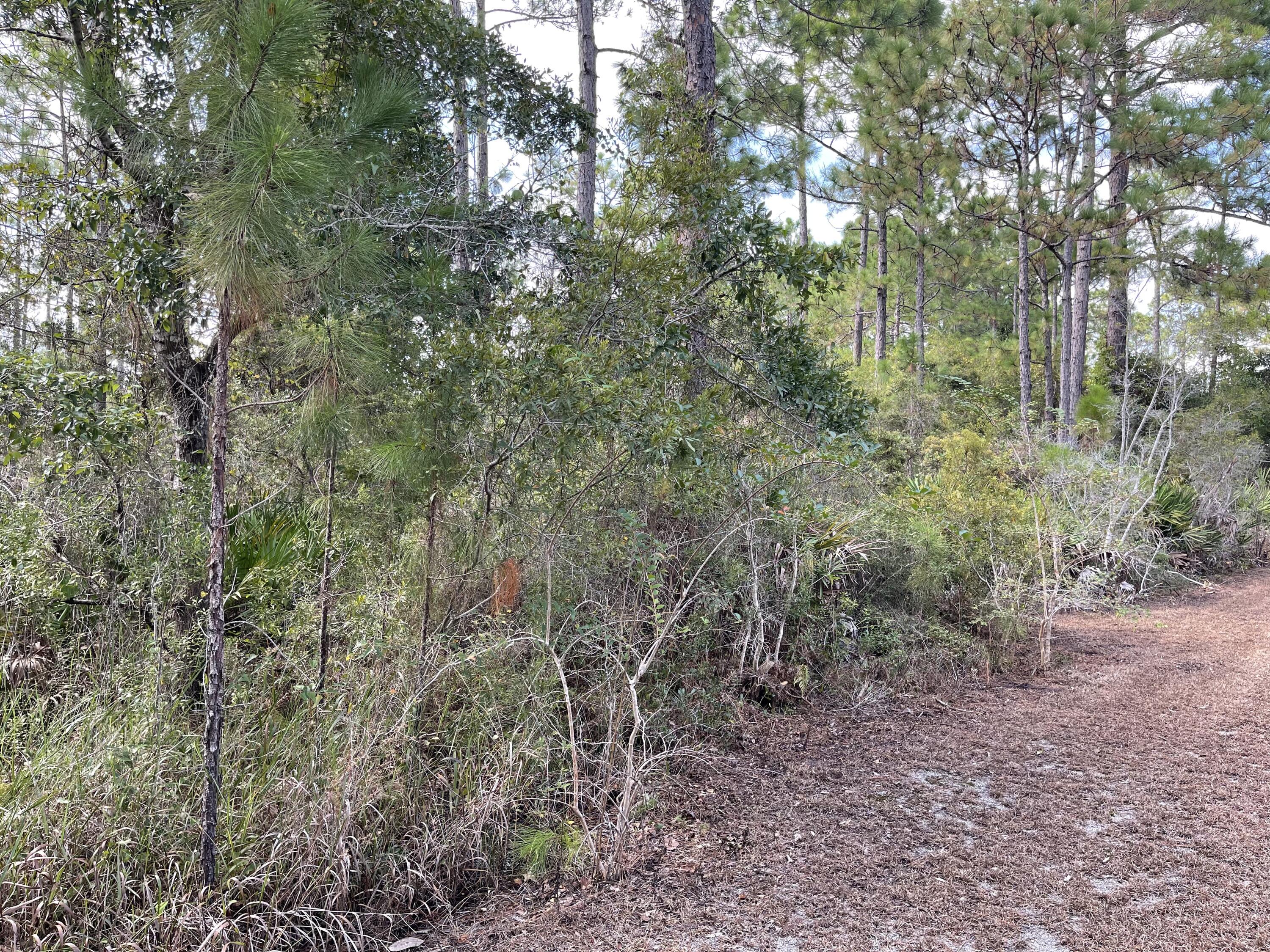 Imagine the possibilities!  This is a prime opportunity to acquire a large lot in the rapidly developing area of South Walton County.  Purchase lot 2 and build your dream home!  Is 1/4 acre not large enough?  No problem...Adjacent Lot 5 is also available for sale!  Purchase both lots and you will have 1/2 acre to work with.  Call today for details!