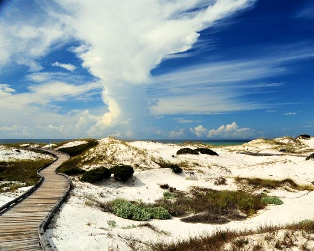WATERSOUND BEACH - Land