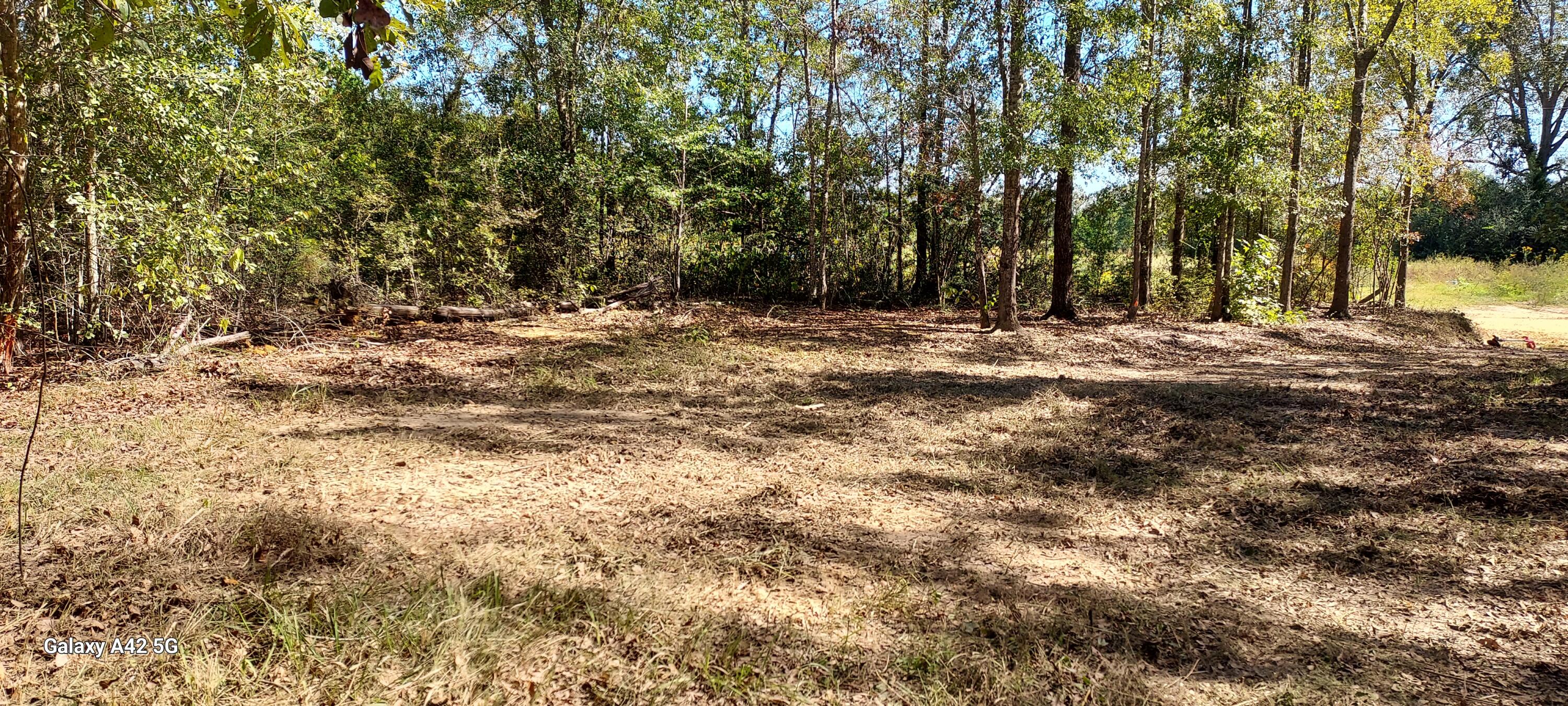 High and dry 8.07 +/- beautiful wooded acreage with a driveway, clearings and an abundance of trails cleared throughout.  Center area of property can easily be cleared to build your new home.  There is an electric pole on the north area of the property - not connected. No well and no septic currently on property. Unrestricted area - mobile homes allowed.  No HOA. Nice clay road to access property or can create an access from Hwy 181.  Property is 1/4 mile from Leonia, 20 minutes north of Defuniak Springs and 15 minutes south of Geneva, AL or Samson, AL.