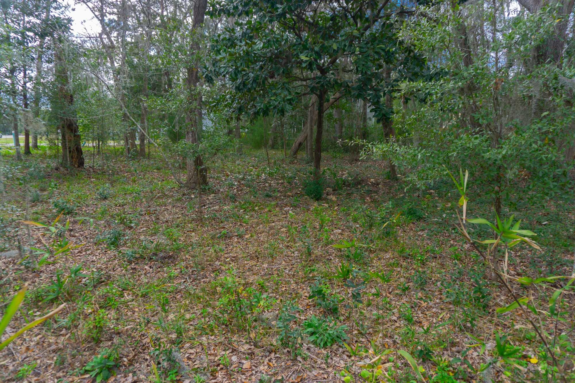 SACRED OAKS - Land