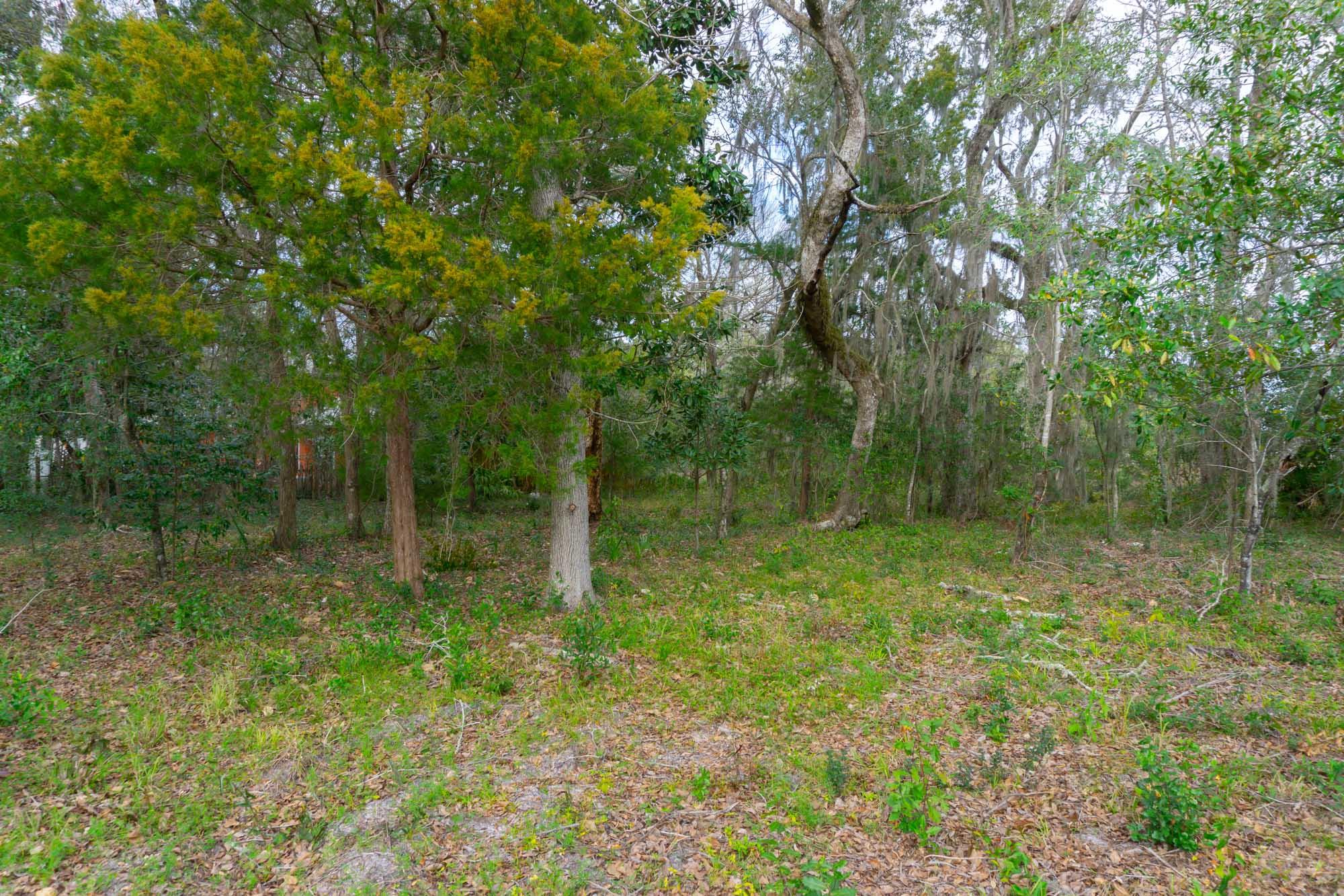 SACRED OAKS - Land