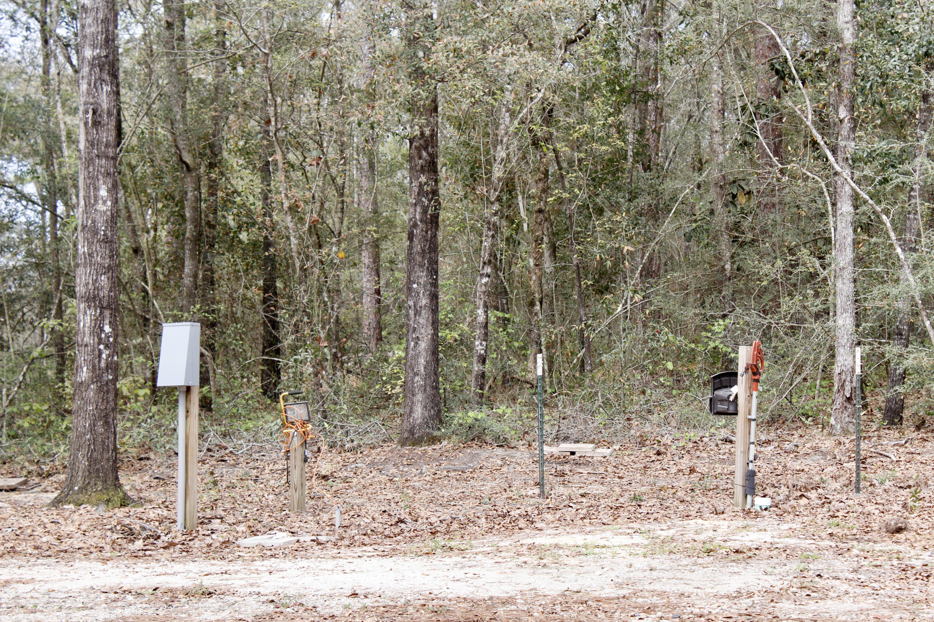 Holbrook Property - Land
