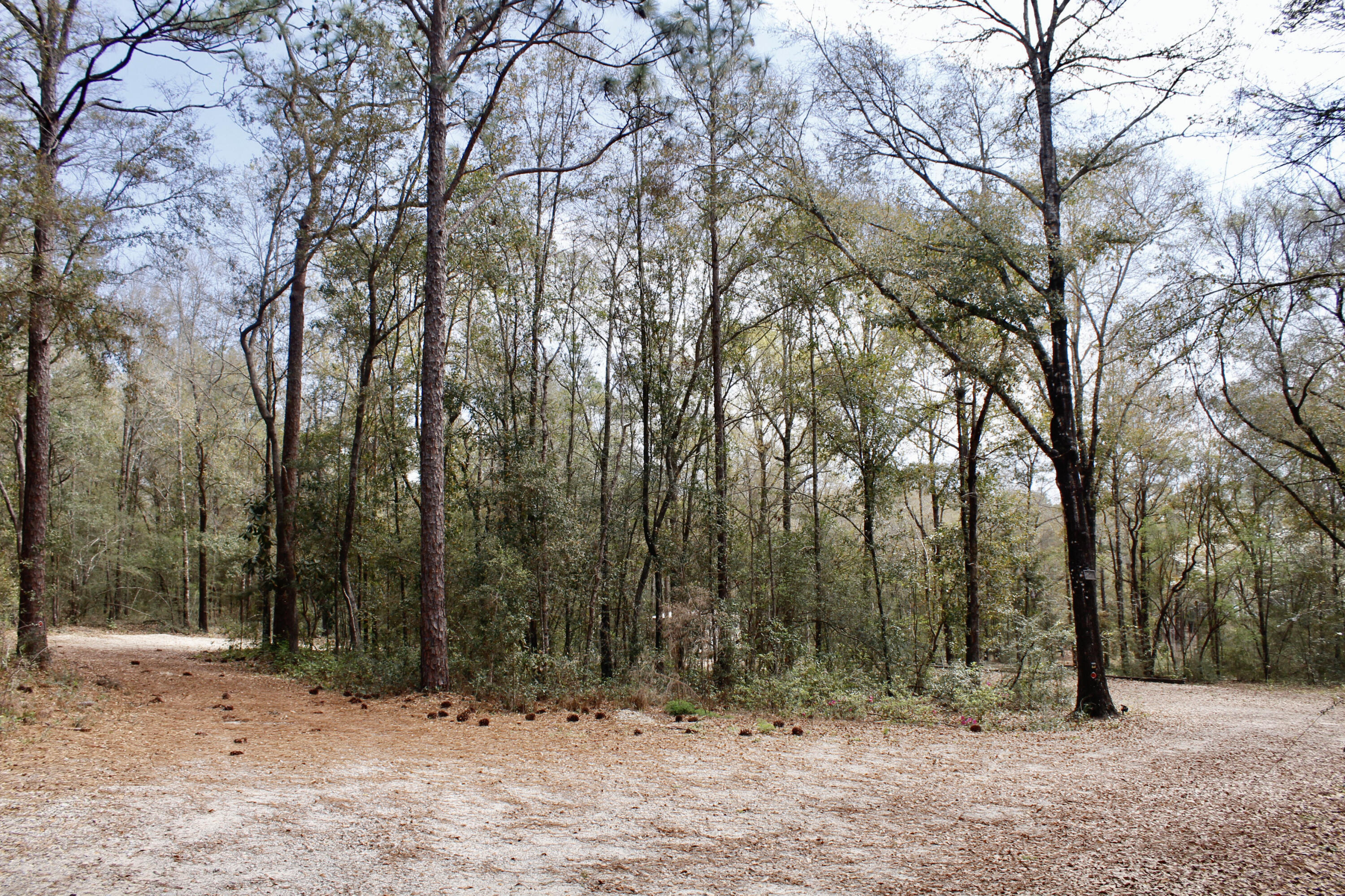 Holbrook Property - Land
