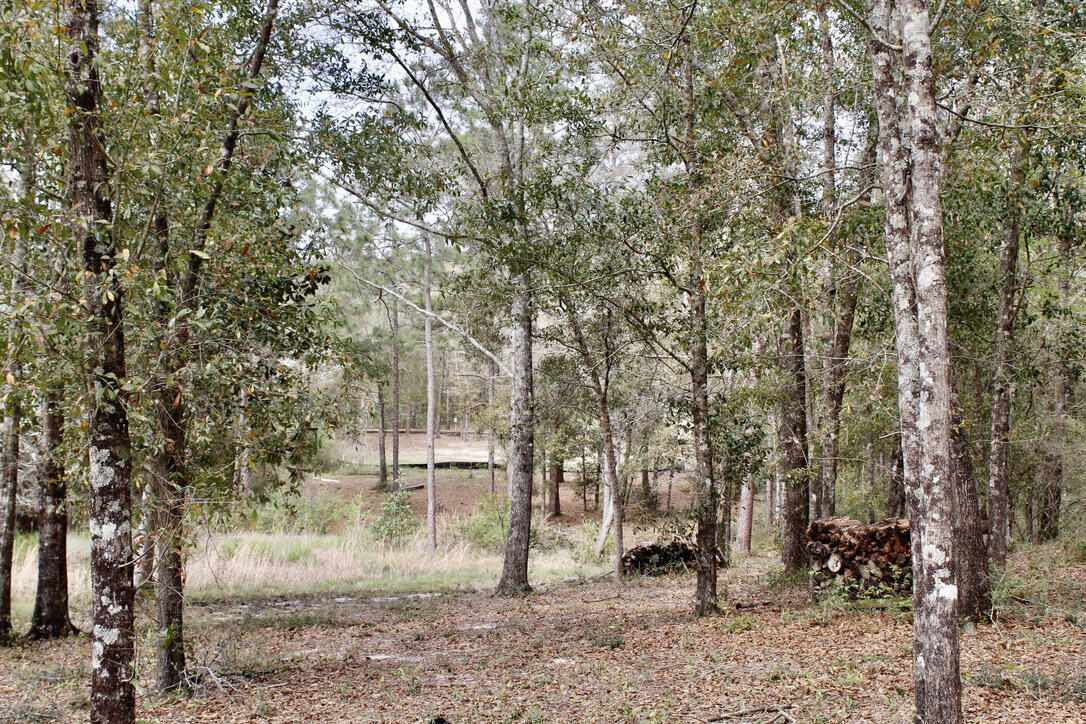 Holbrook Property - Land