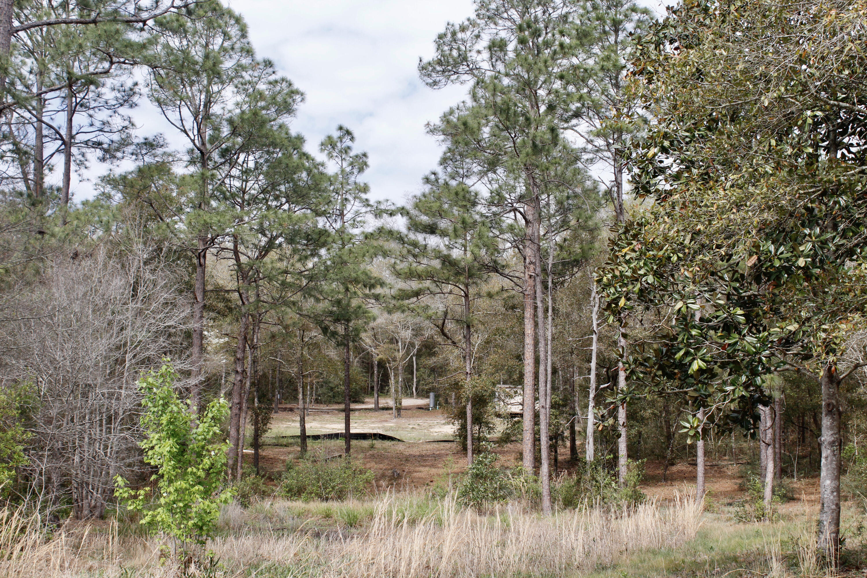 Holbrook Property - Land