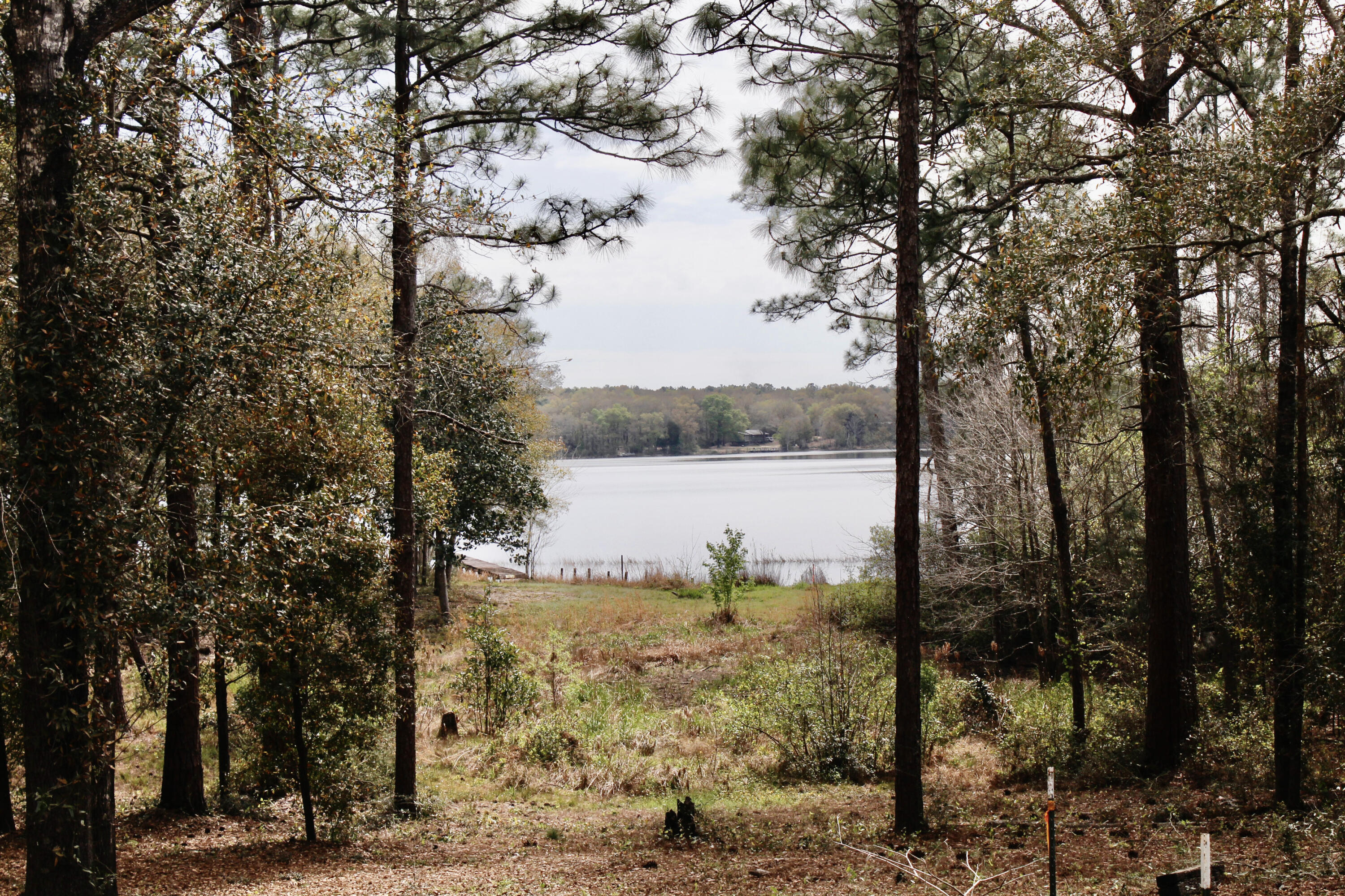 Holbrook Property - Land