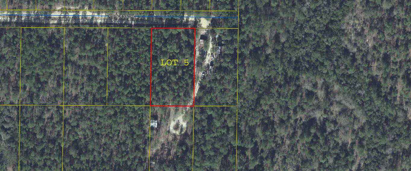 Nice buildable lot in fast growing Mossy Head. Great location convenient to DeFuniak Springs, Crestview, Eglin Air Force Base and the beaches of South Walton. A copy of the lot plat map is in Documents.