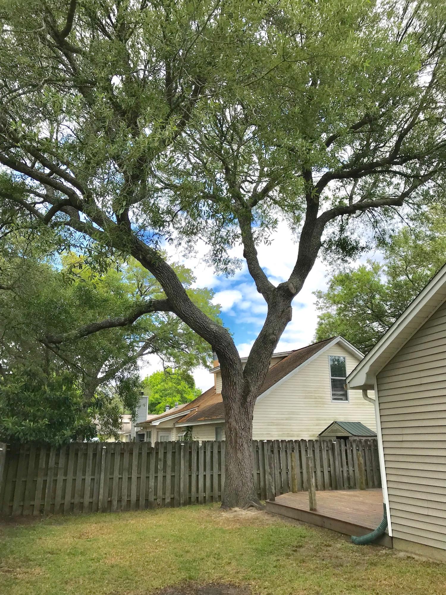 BLUE PINE VILLAGE AMENDED - Residential