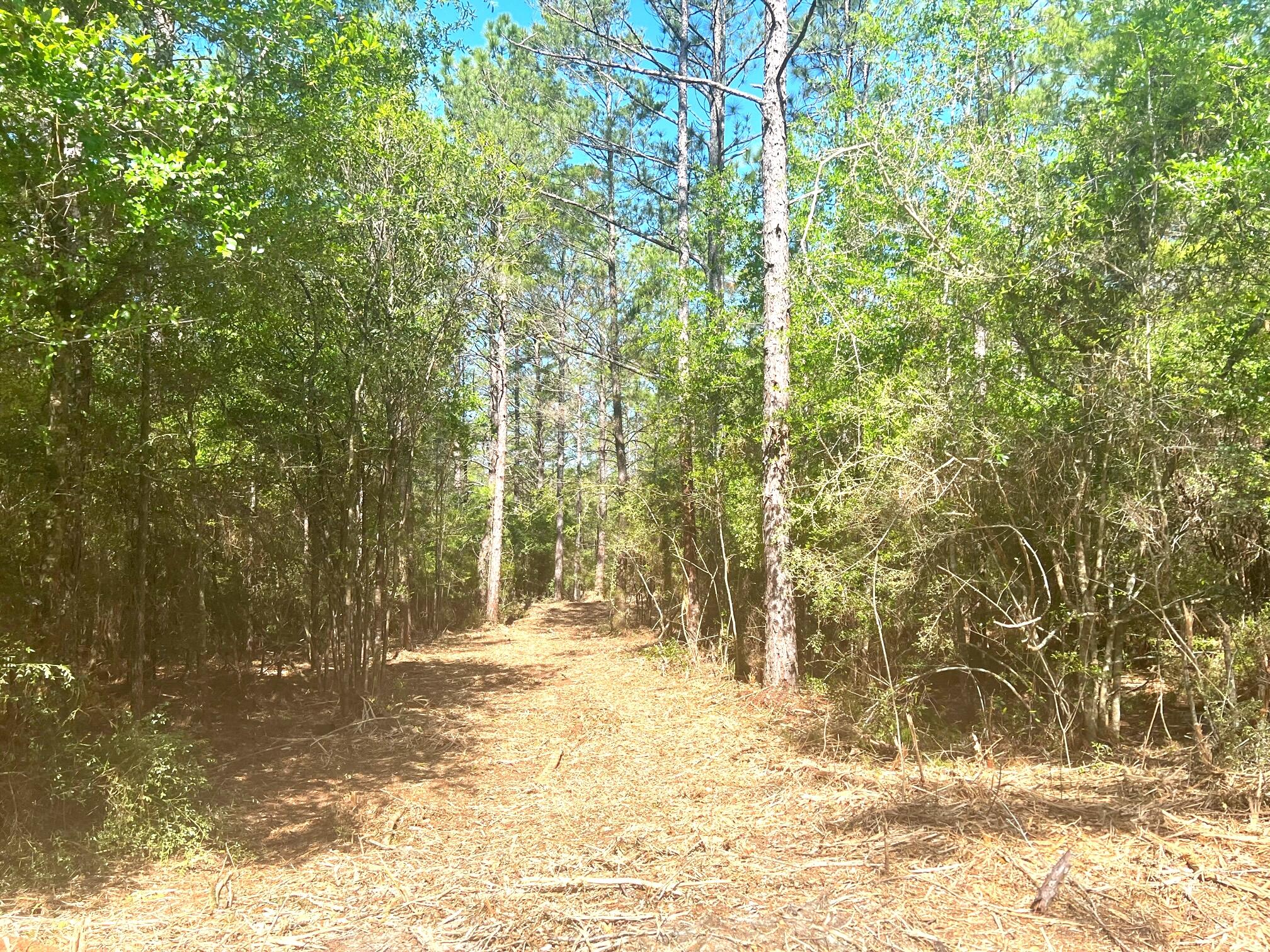 Beautiful lightly wooded 4 acre parcel with a creek running through towards the back of property. This is an undeveloped property in an unrecorded suddivision, located just off paved road in growing Mossy Head area of Defuniak Springs (manufactured homes are allowed). Apx. 13 miles to downtown Defuniak Springs, Apx. 5 miles to Blackstone Golf Course & I-10 in Mossy Head. Apx. 30 minutes to Niceville and Eglin AFB. Power runs along Seven Oaks Rd. Well and Septic would be required.