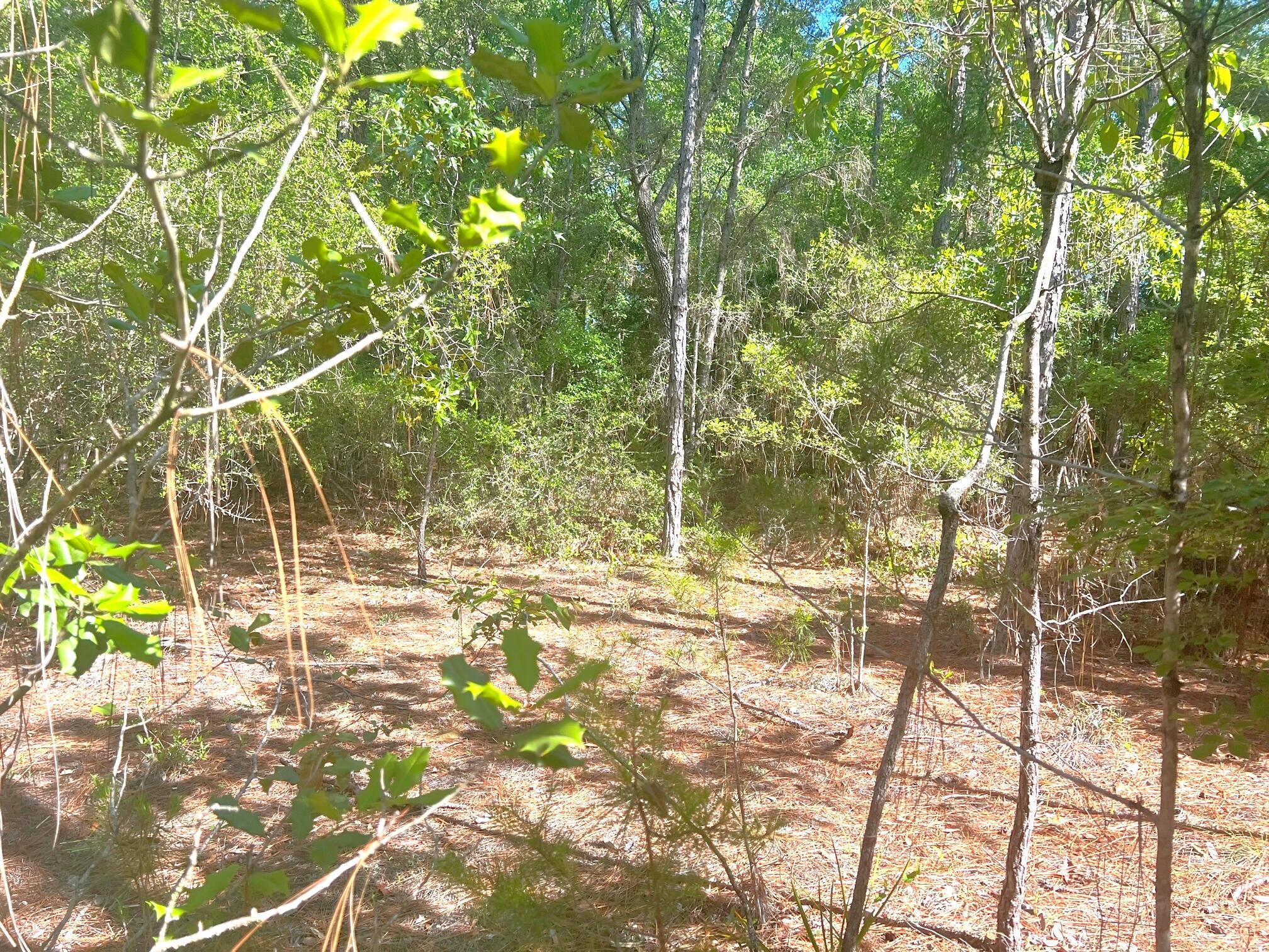 SEVEN OAKS UNREC - Land