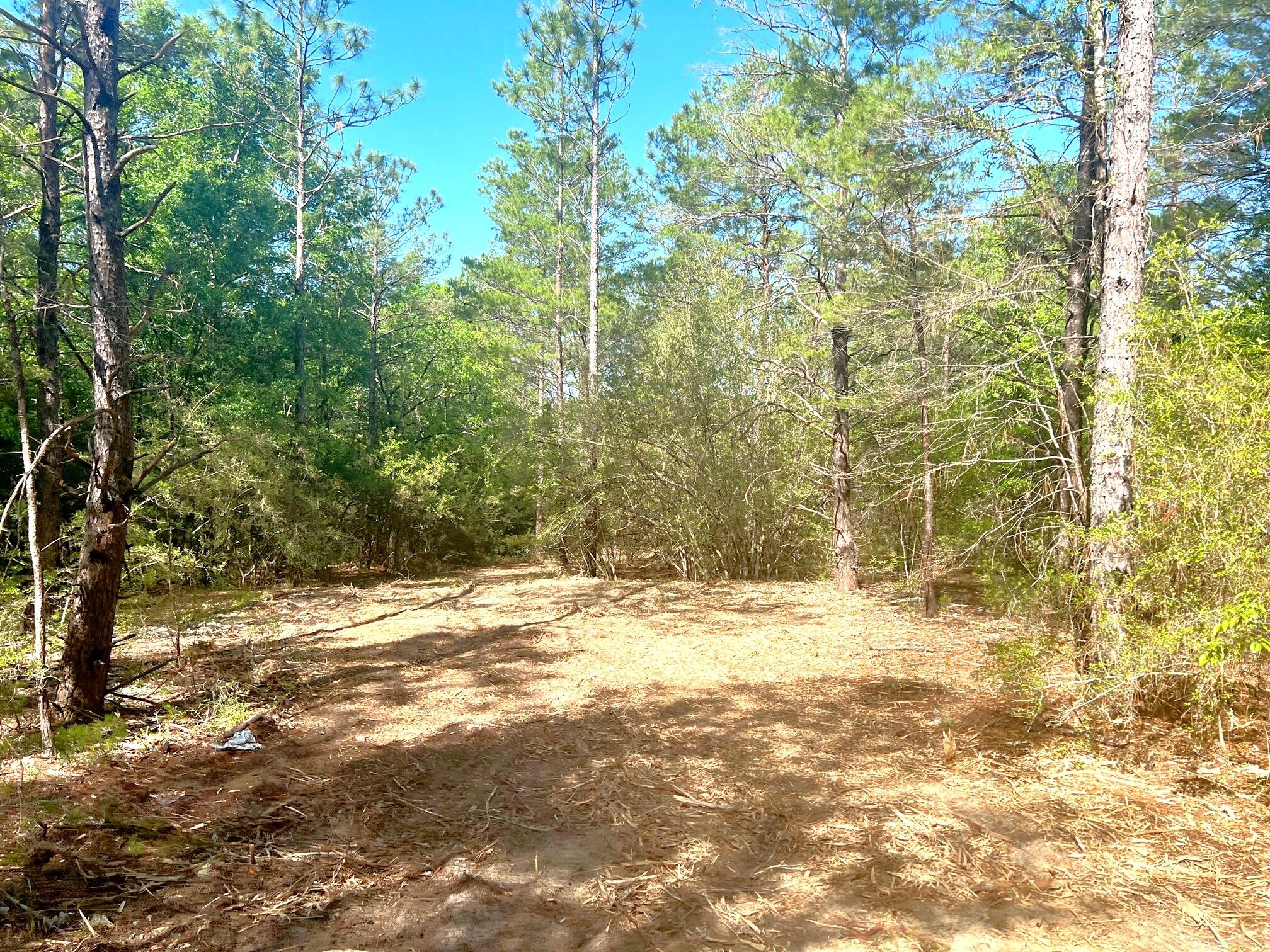 SEVEN OAKS UNREC - Land