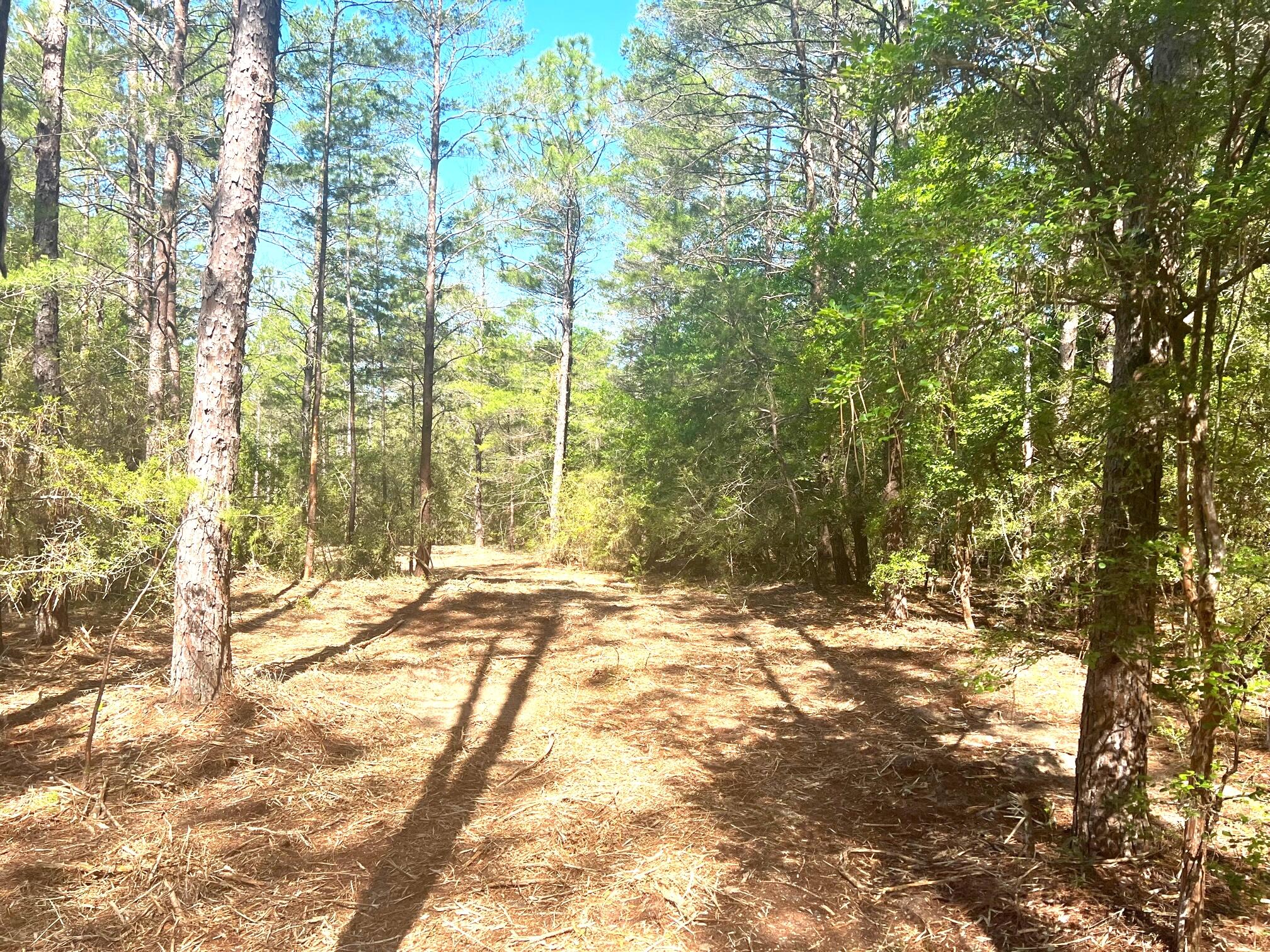 SEVEN OAKS UNREC - Land