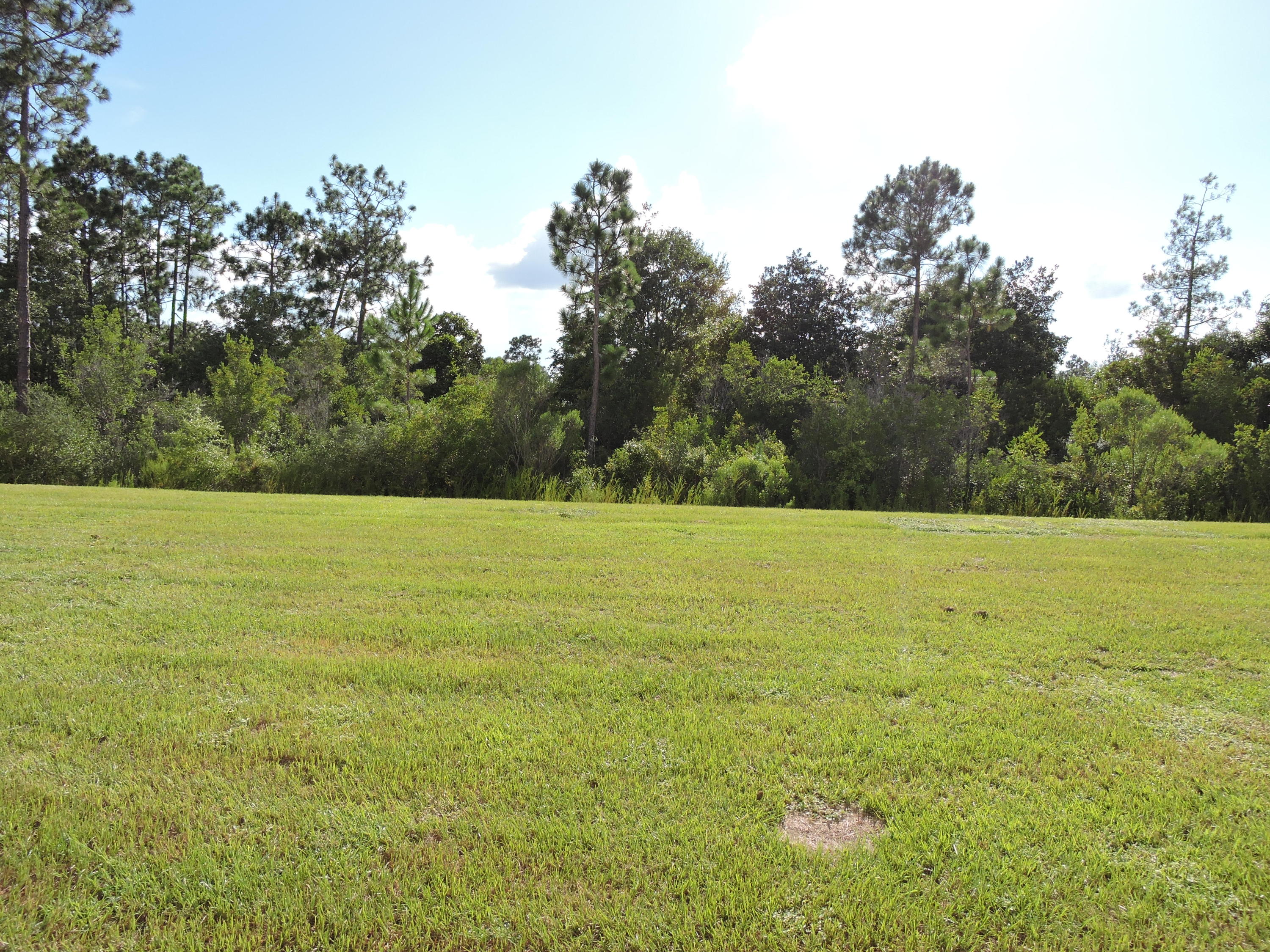 ROLLING PINES - Residential Lease