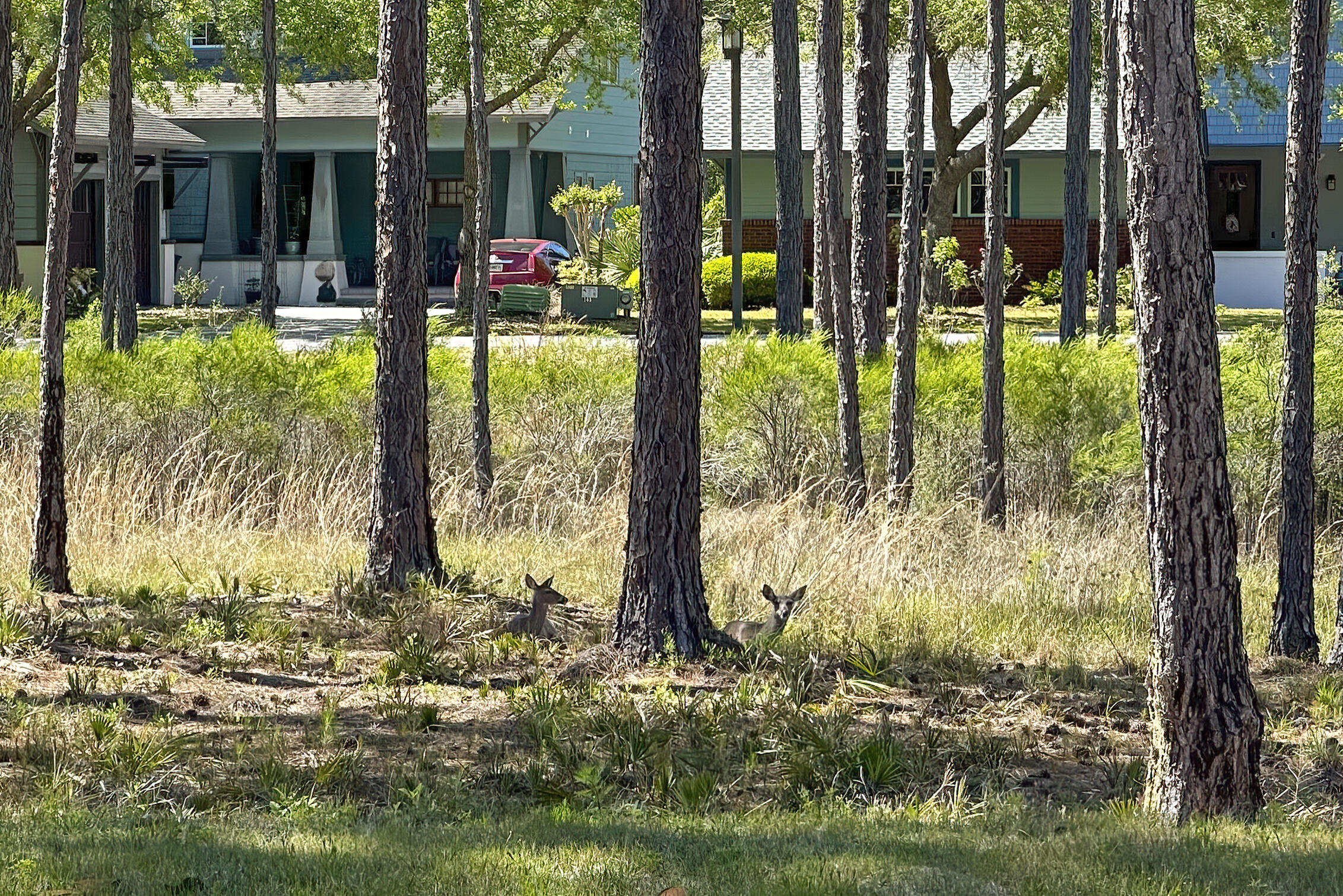 WILD HERON PHASE III - Residential