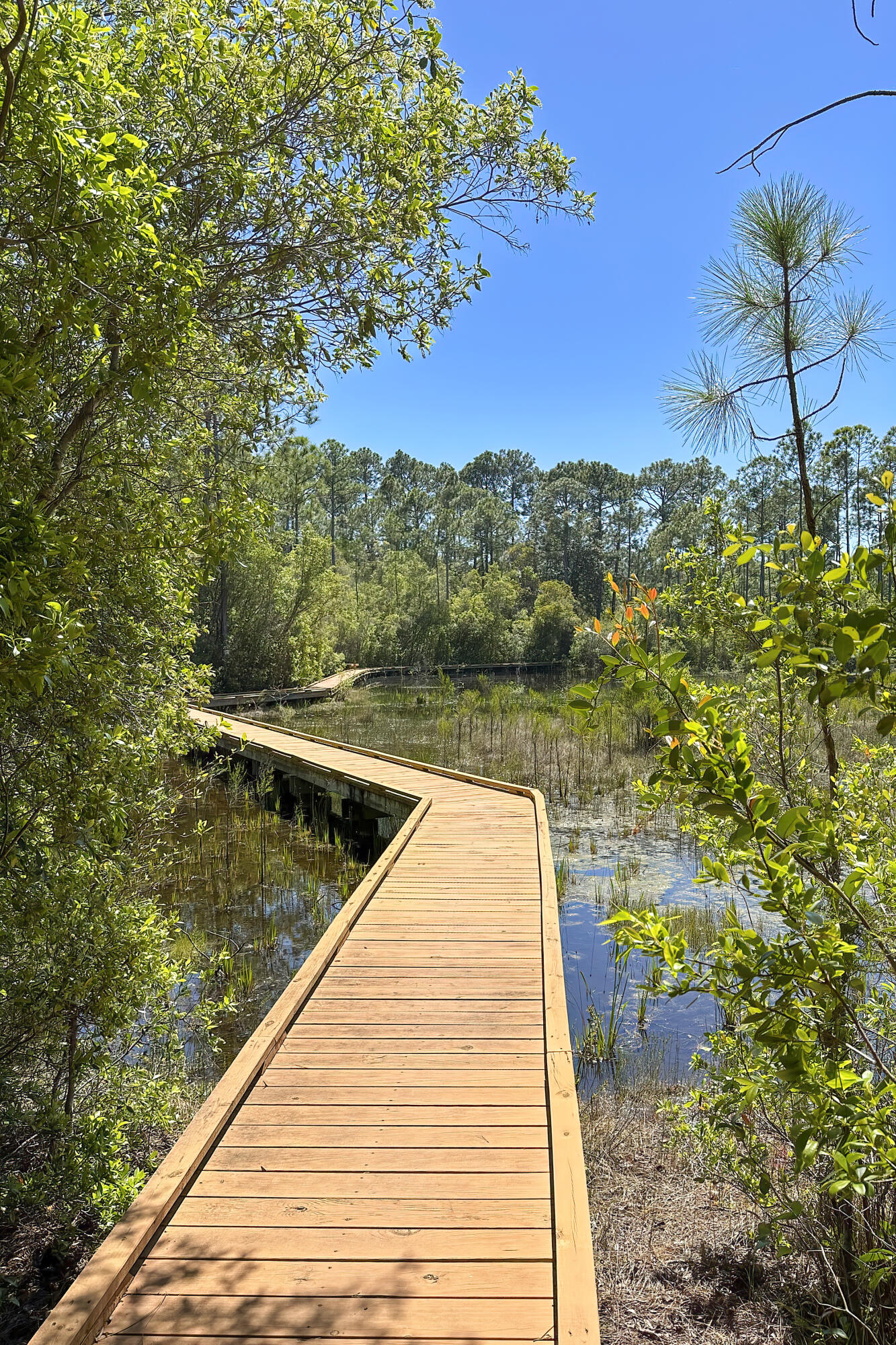 WILD HERON PHASE III - Residential