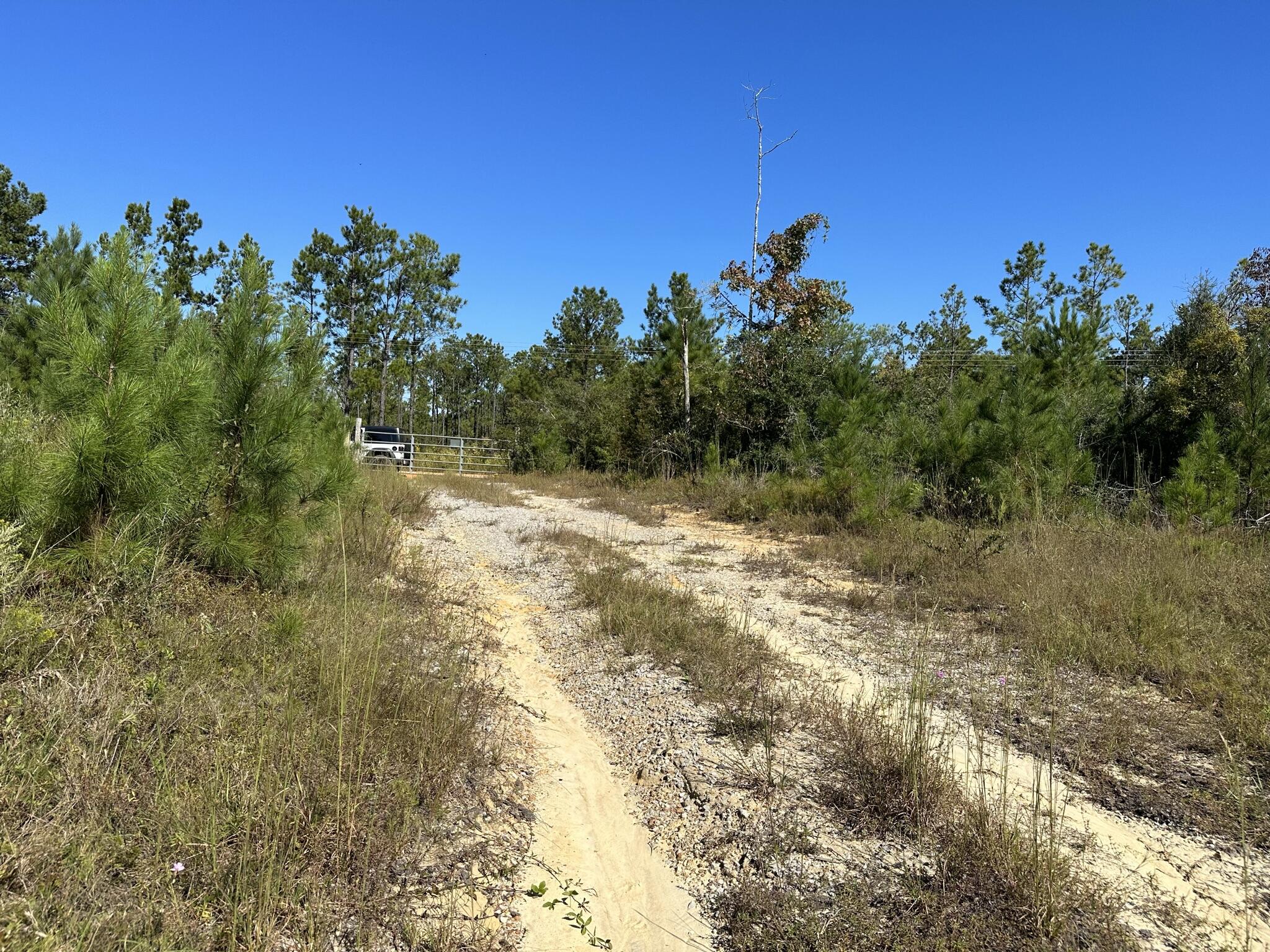 10 AC ± Parcel D on Millside Road in Northwest Florida offering room to create a private homesite, recreational escape, or small farm setting. The land features a blend of hardwoods and planted pines, with open areas and natural cover that support the local wildlife frequently seen across the property. Deer tracks are visible throughout the parcel, adding to the character of this rural landscape. Whether planning a barndominium, traditional home, or a place to enjoy the outdoors, this property provides a flexible setting to bring your building ideas to life. The surrounding countryside offers quiet, open skies where the stars still shine bright at night. Millside Road is currently included in a county paving plan.