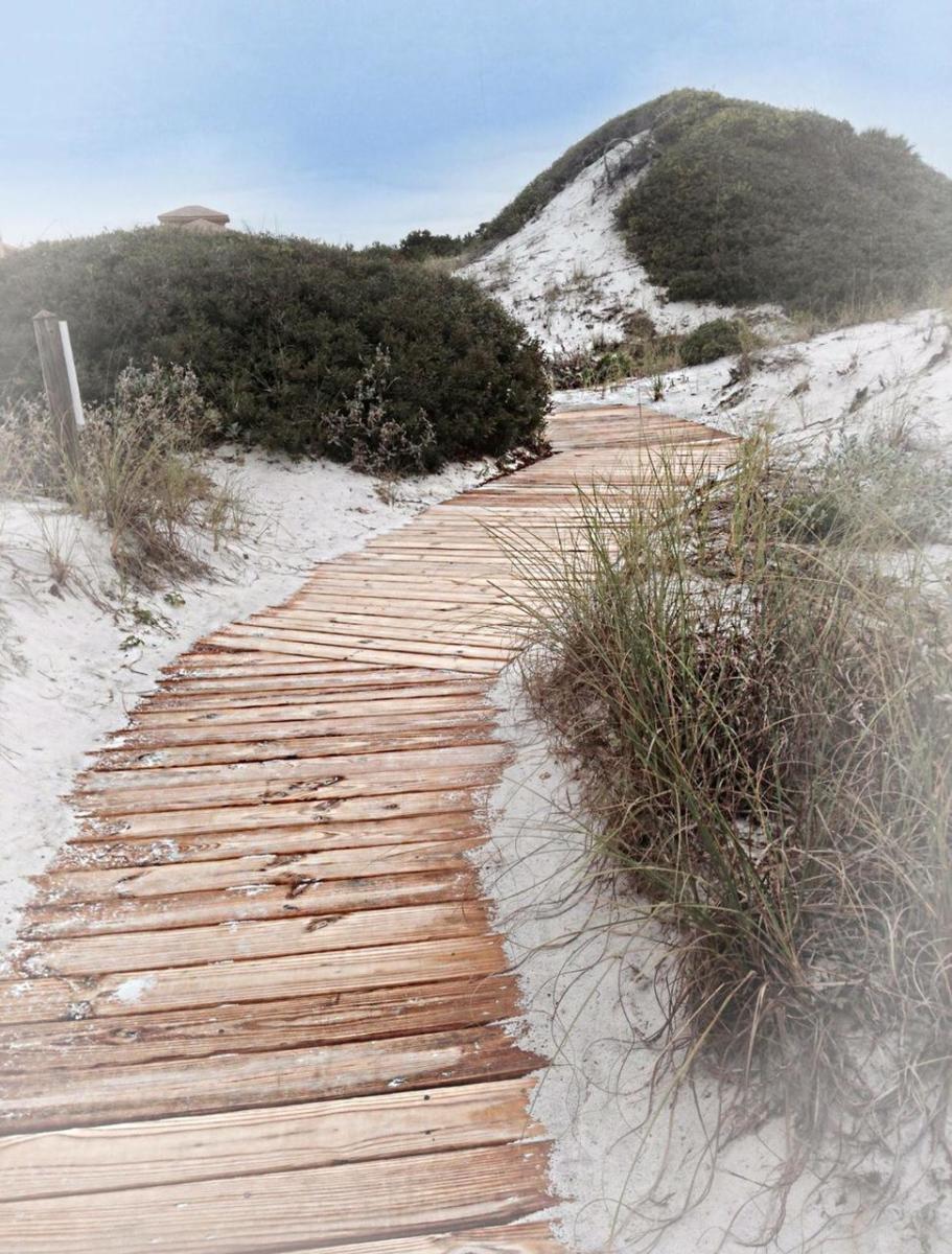 THE PRESERVE AT GRAYTON BEACH - Land