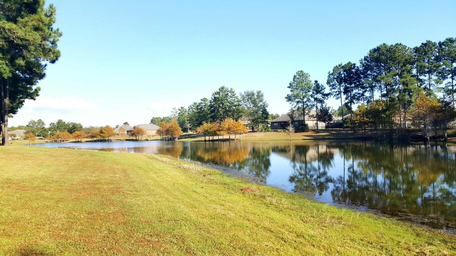 Hammock Bay - Residential