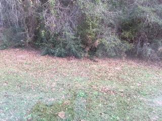 COUNTRYVIEW ESTATES 4TH ADDN - Residential Lease