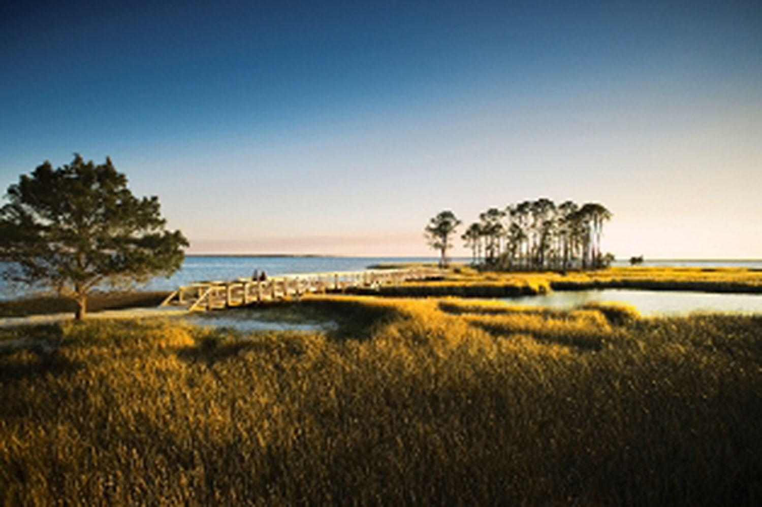 Entered For Comp Purposes only. This is a prime lot that overlooks the tidal marsh located in RiverCamps, an exclusive St. Joe waterfront community, just 10 minutes from the beach and housing fewer than 450 homes! RiverCamps on Crooked Creek is a 1,500 acre pine forest gated community surrounded by three spectacular bodies of water, Crooked Creek, West and the Intracoastal Waterway. The amenities in this community include a 25,000 sq.ft. RiverHouse, the community activity center, encompassing of decks, boardwalks, covered pavilions, and a 600 foot pier that extends into West Bay. The RiverHouse also includes a pool, hot tub, fitness center, library, catering kitchen, dining area and our homeowners can reserve kayaks, canoes and bikes.