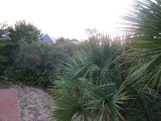 Seacrest East S/D - Residential