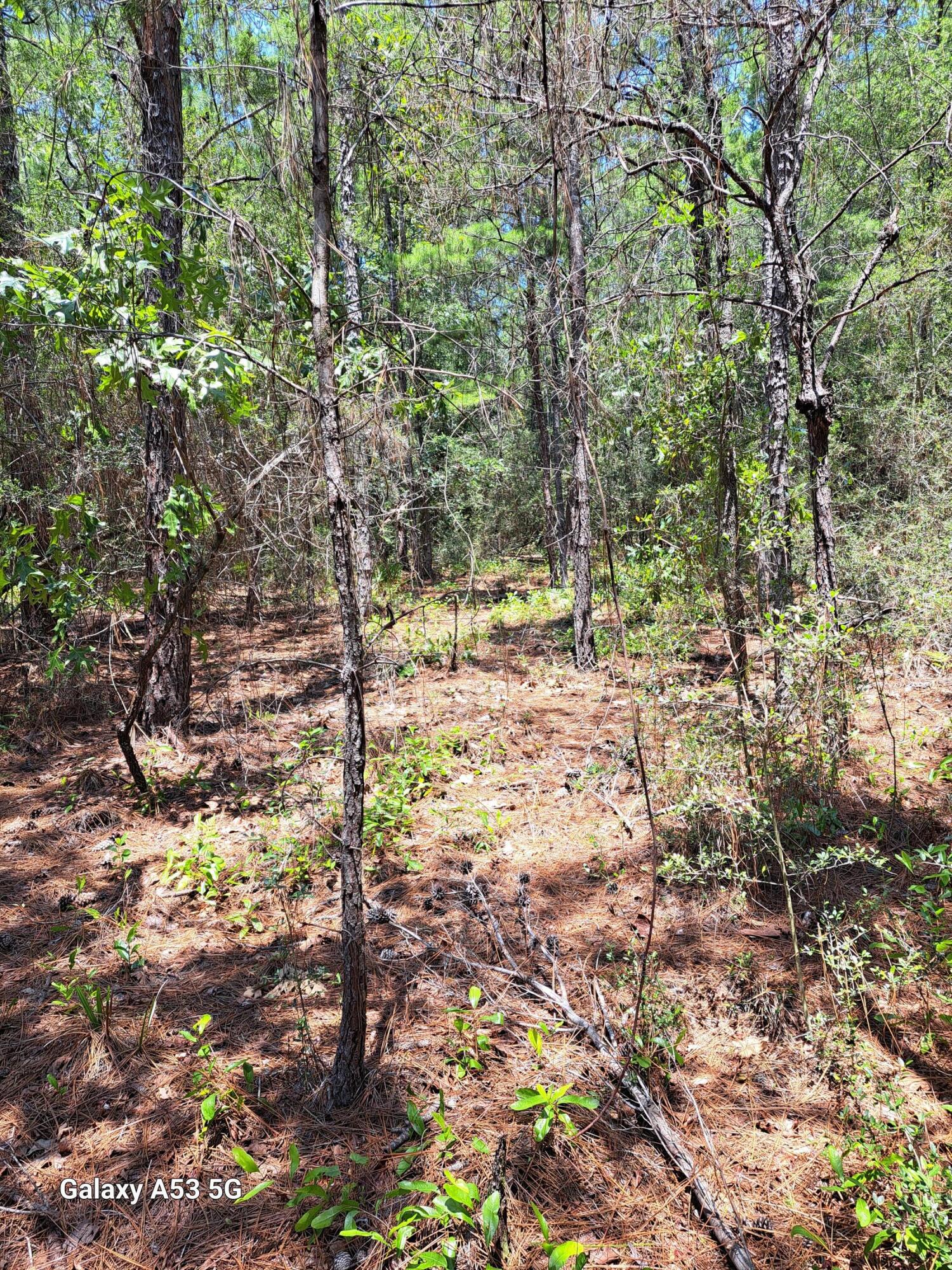 Delaware Plantation Unrecorded - Land