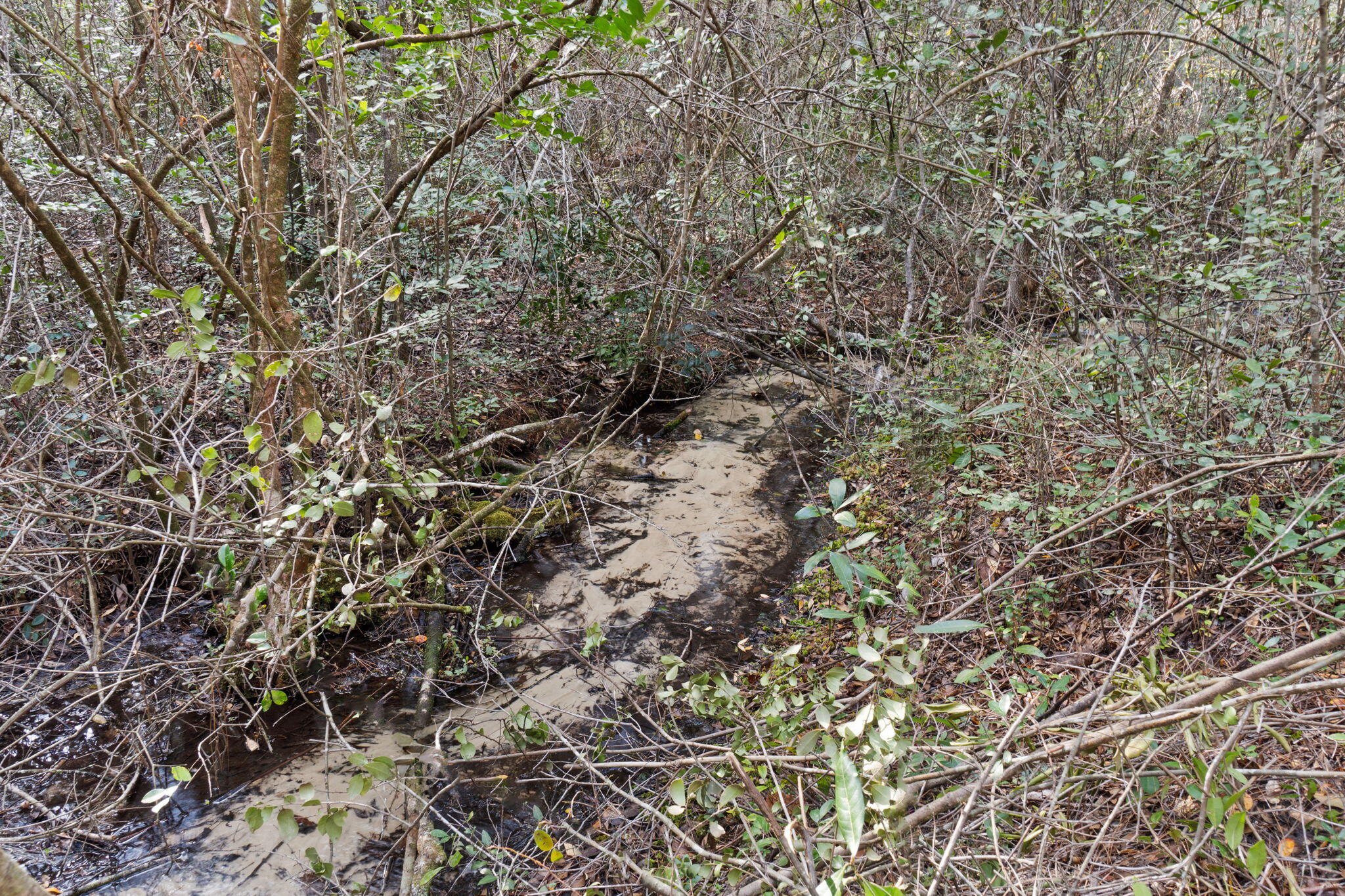 Delaware Plantation Unrecorded - Land