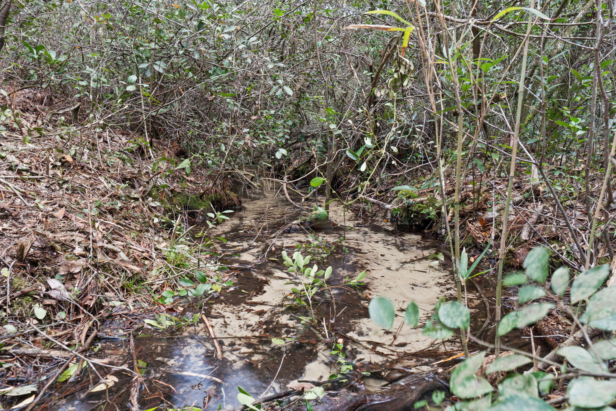 Delaware Plantation Unrecorded - Land