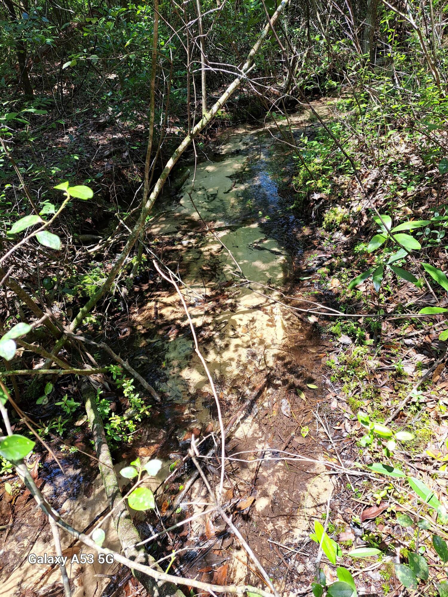 Delaware Plantation Unrecorded - Land