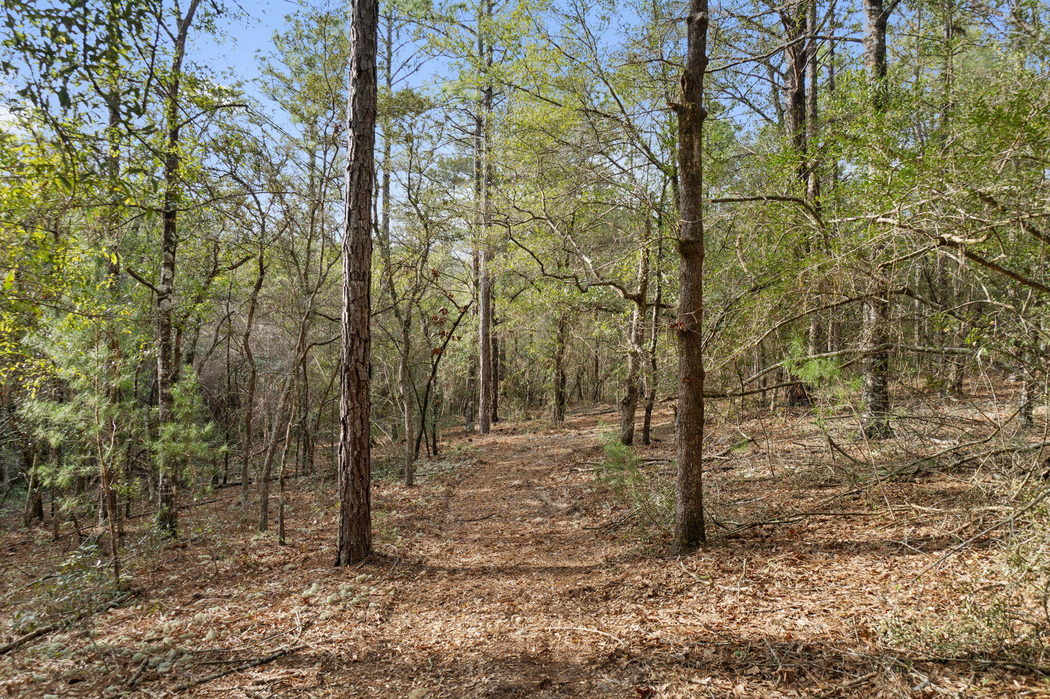 Delaware Plantation Unrecorded - Land